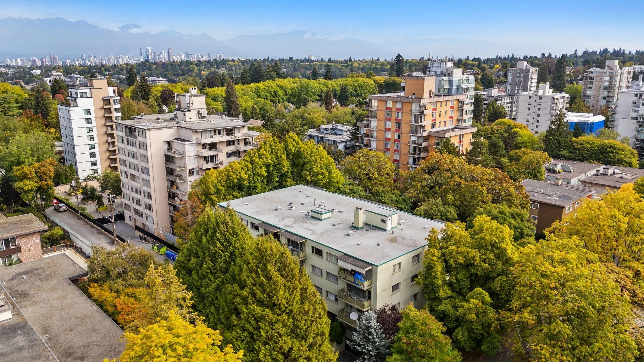 5475 Vine Street #204