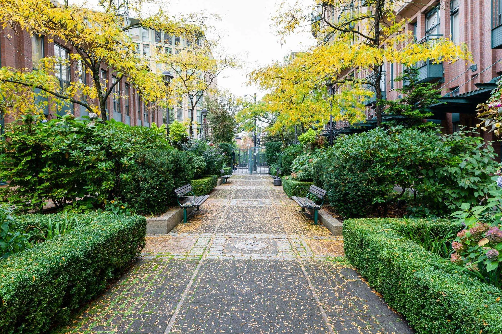22 E Cordova Street #609