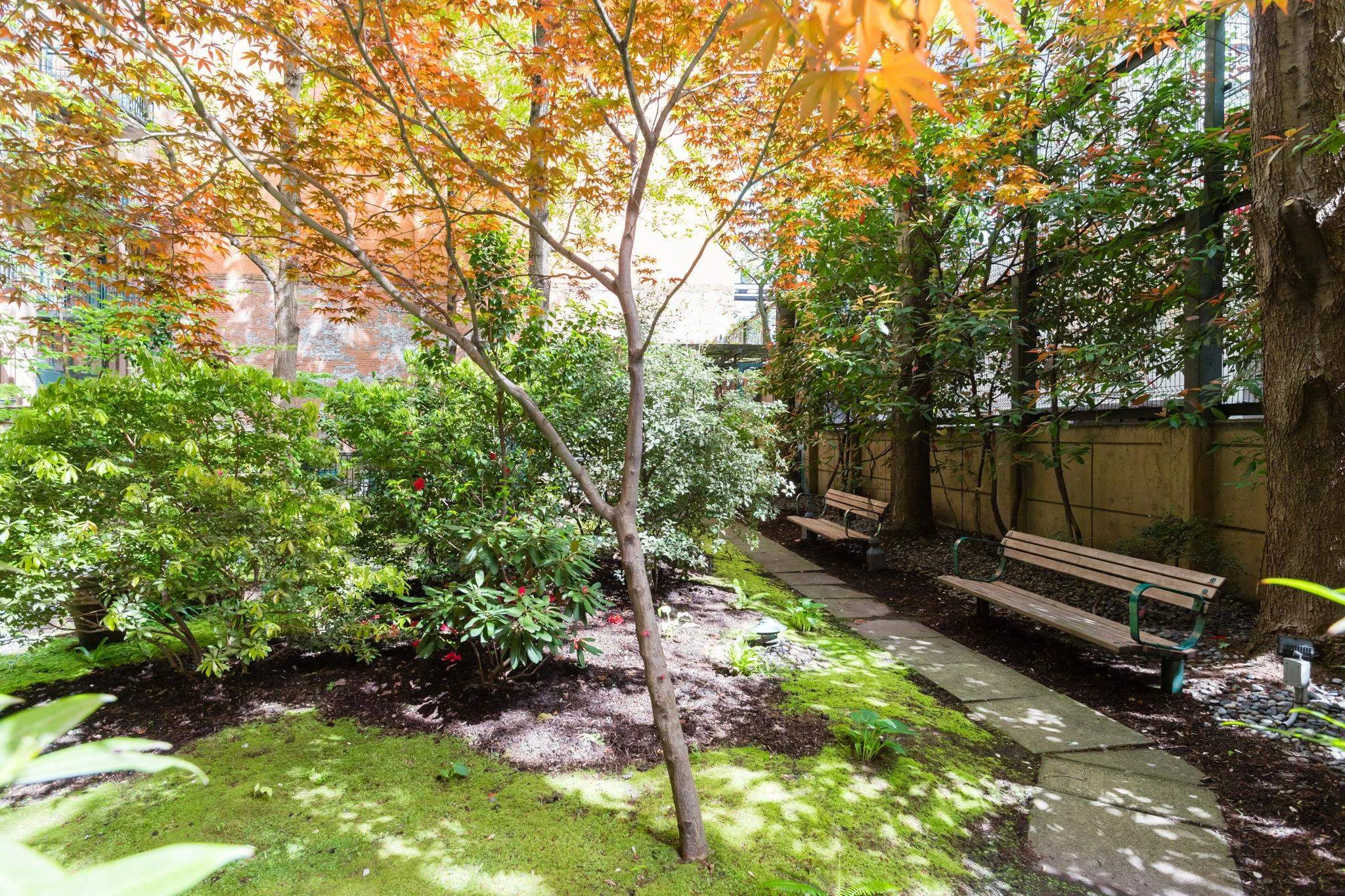 22 E Cordova Street #609
