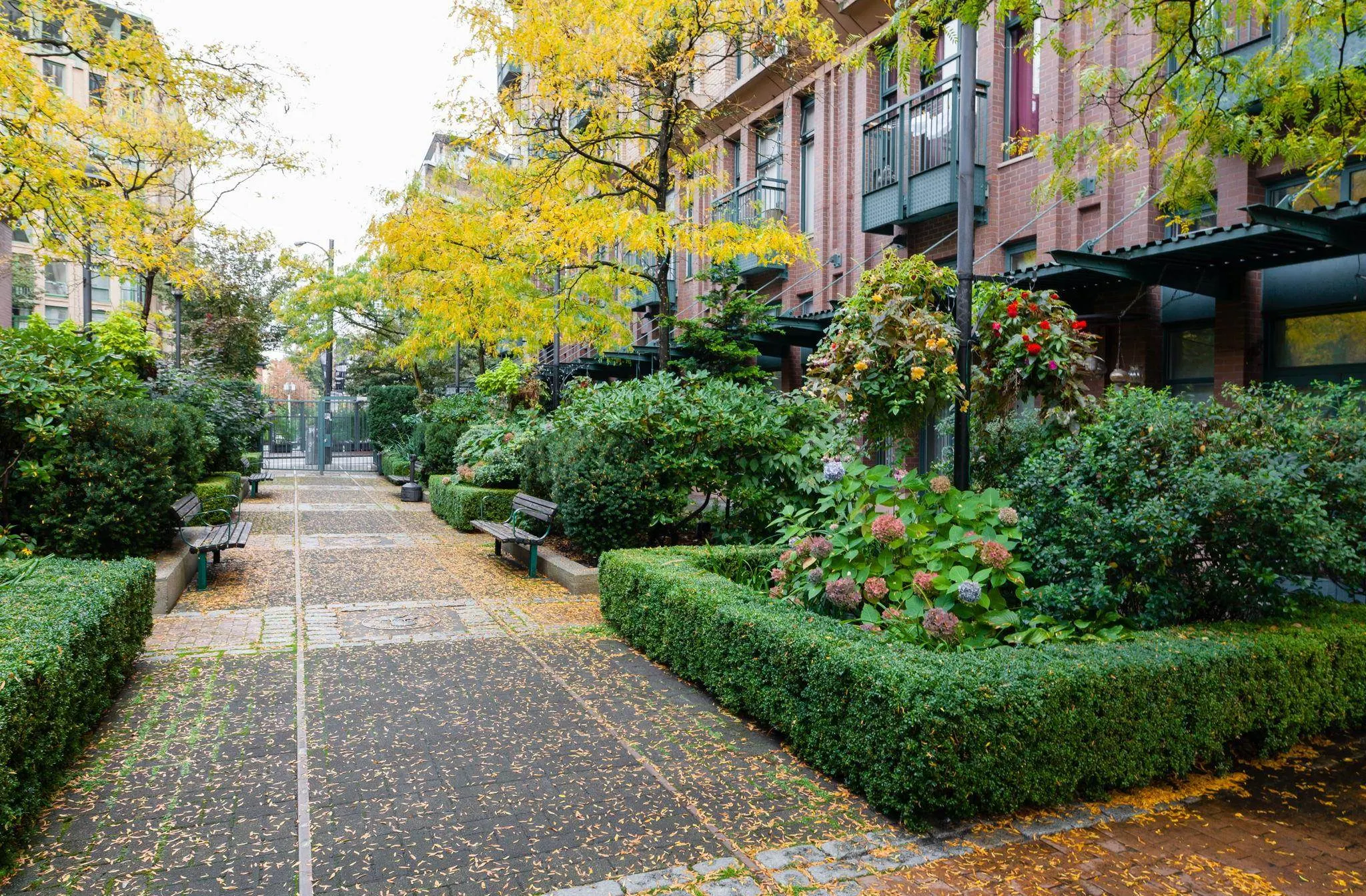 22 E Cordova Street #609