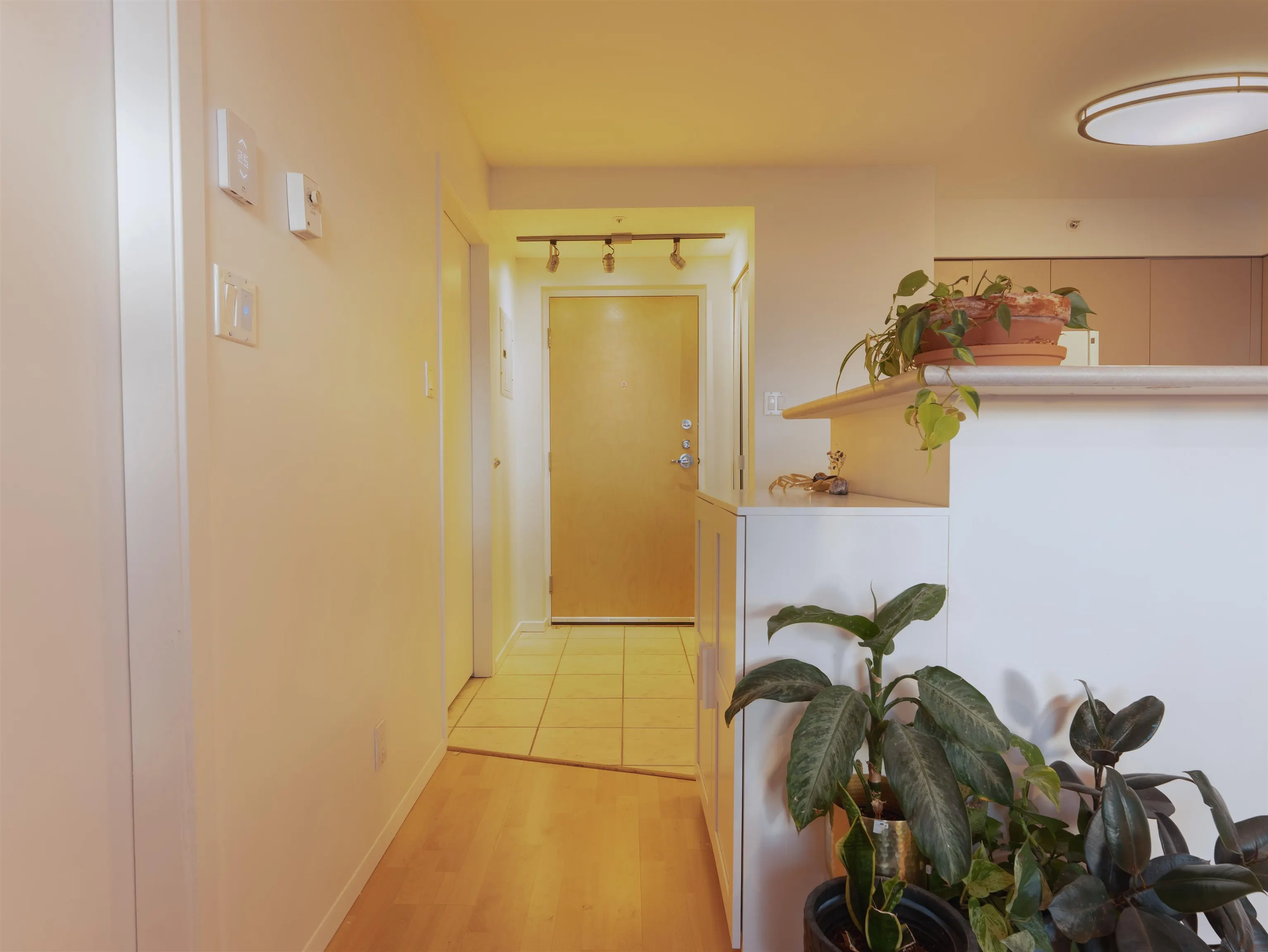 1277 Nelson Street #1201