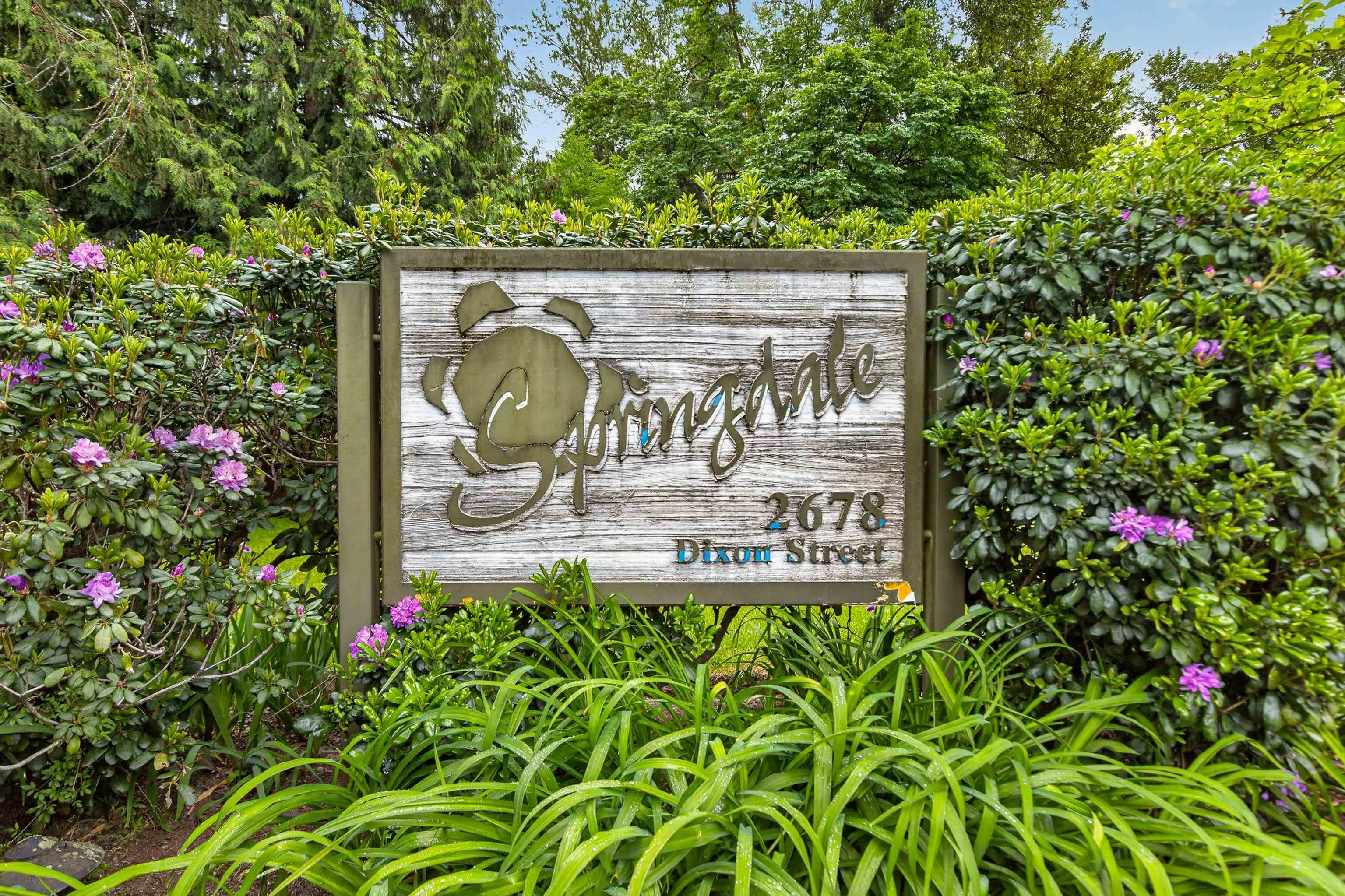 2678 Dixon Street #121