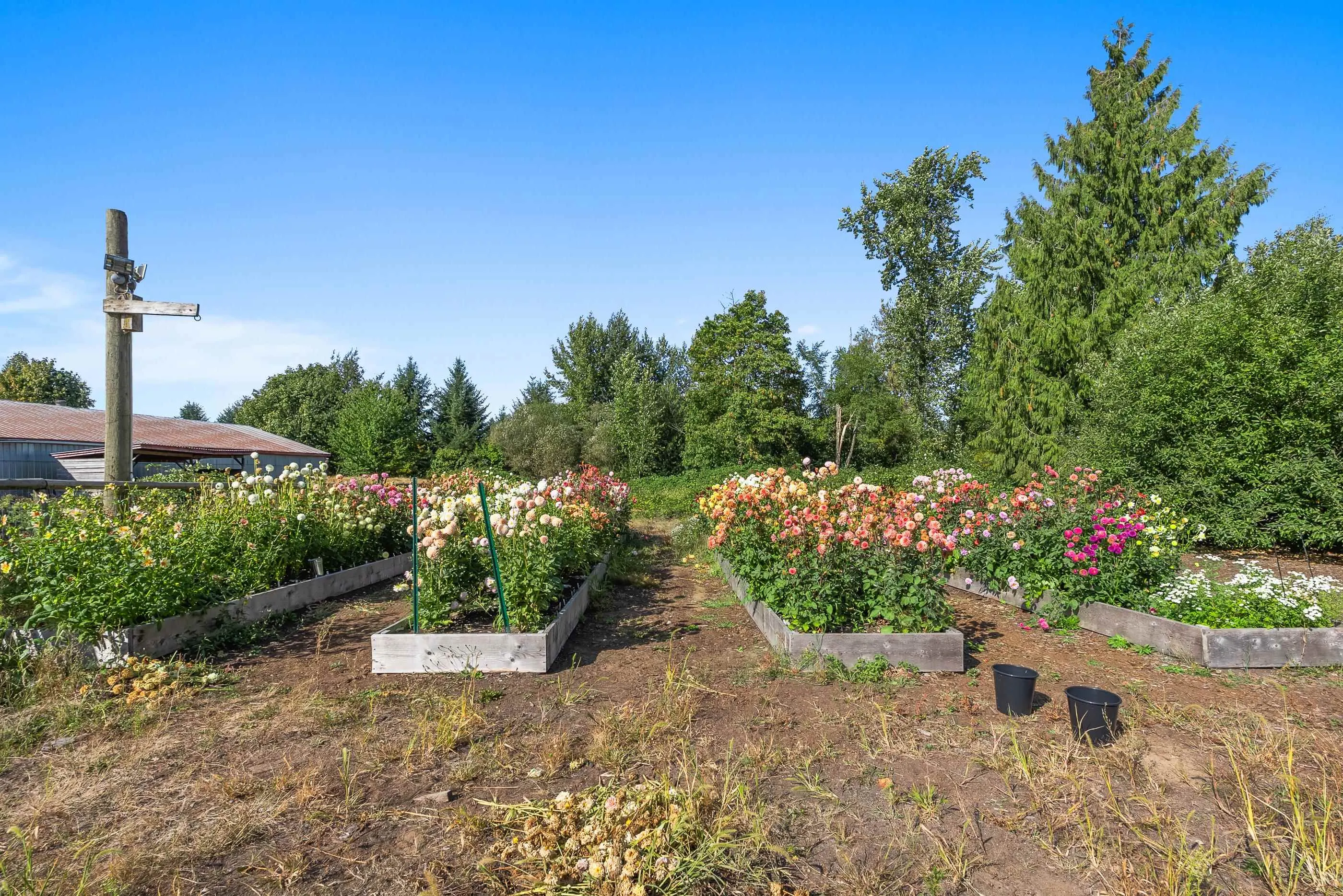 2481 Lefeuvre Road