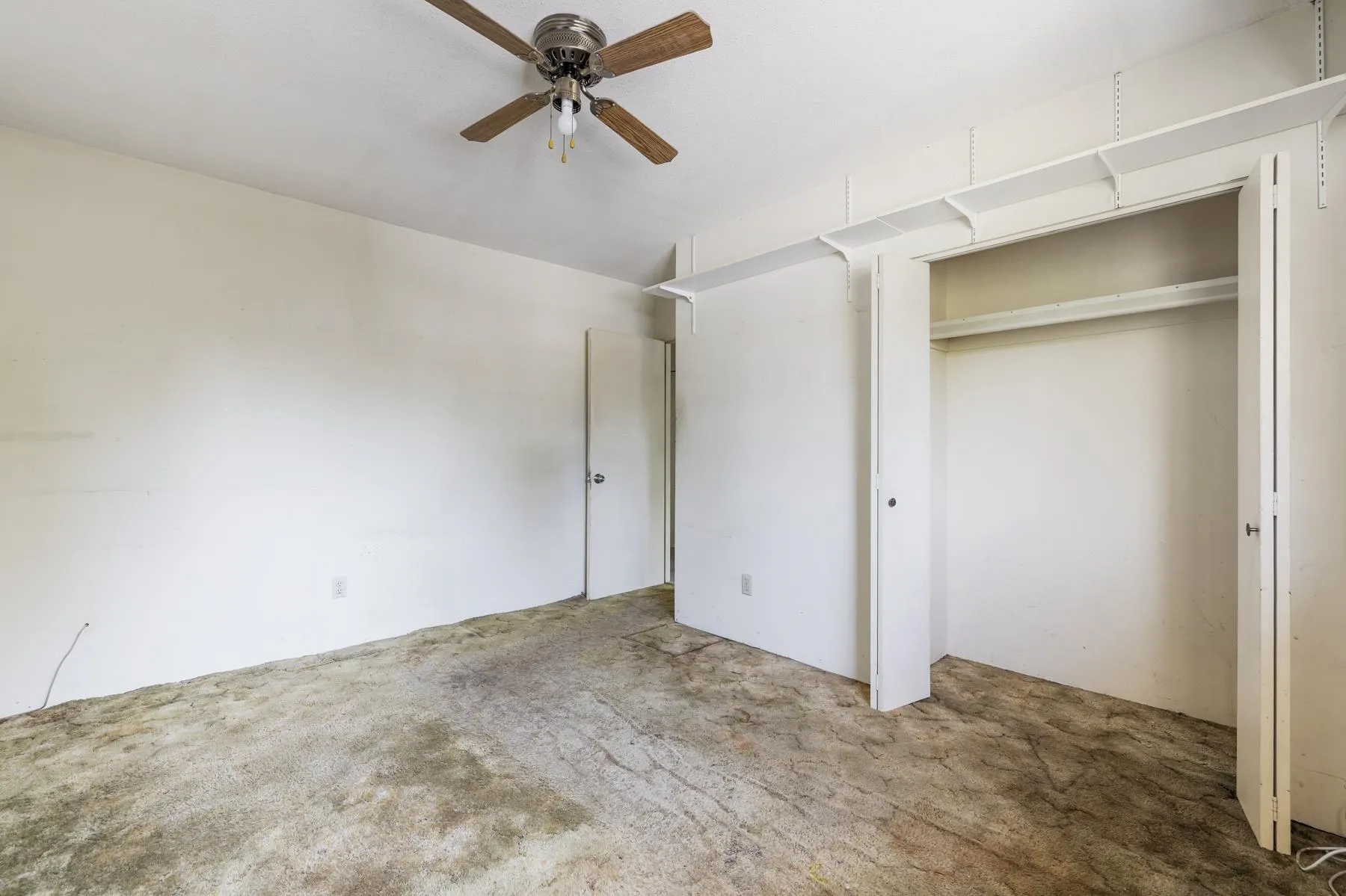 1310 Tina Way