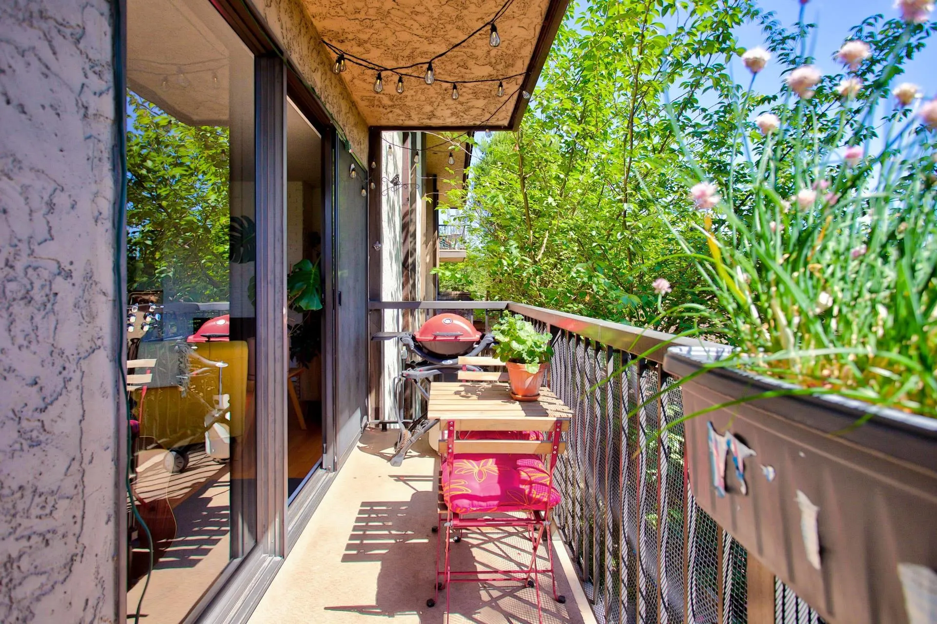 338 Ward Street #201