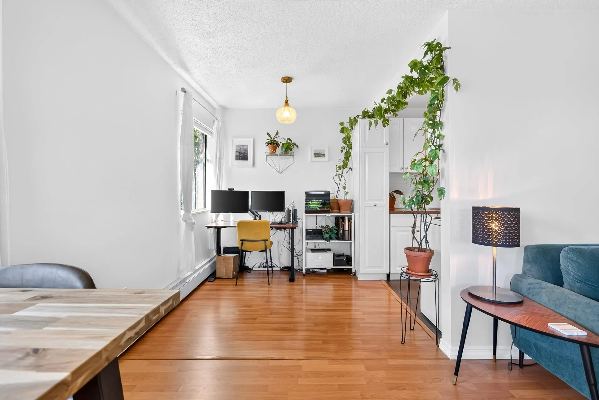 338 Ward Street #201