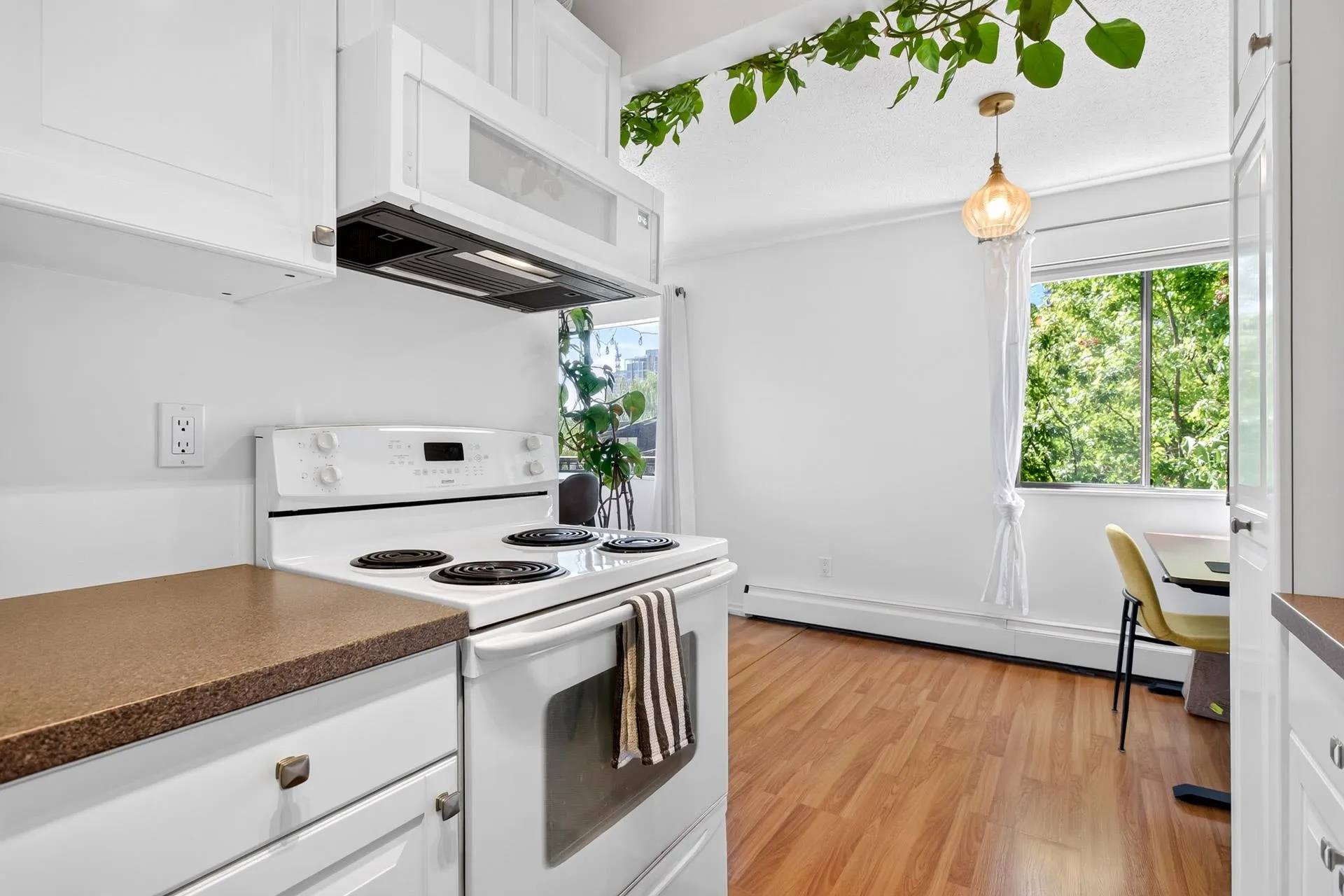 338 Ward Street #201