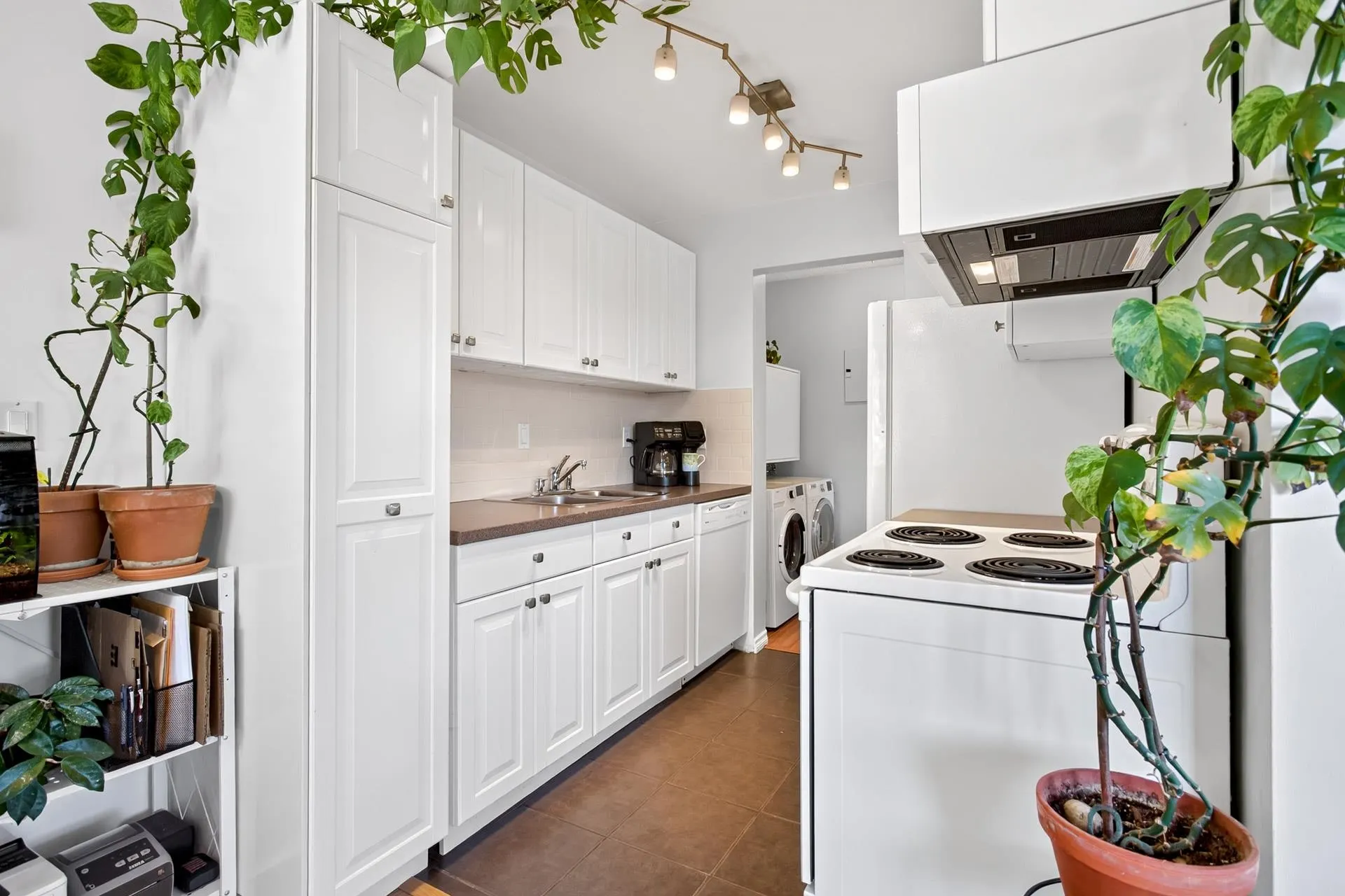 338 Ward Street #201