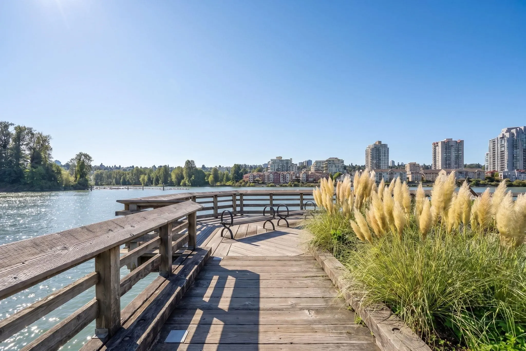 488 Furness Street #64