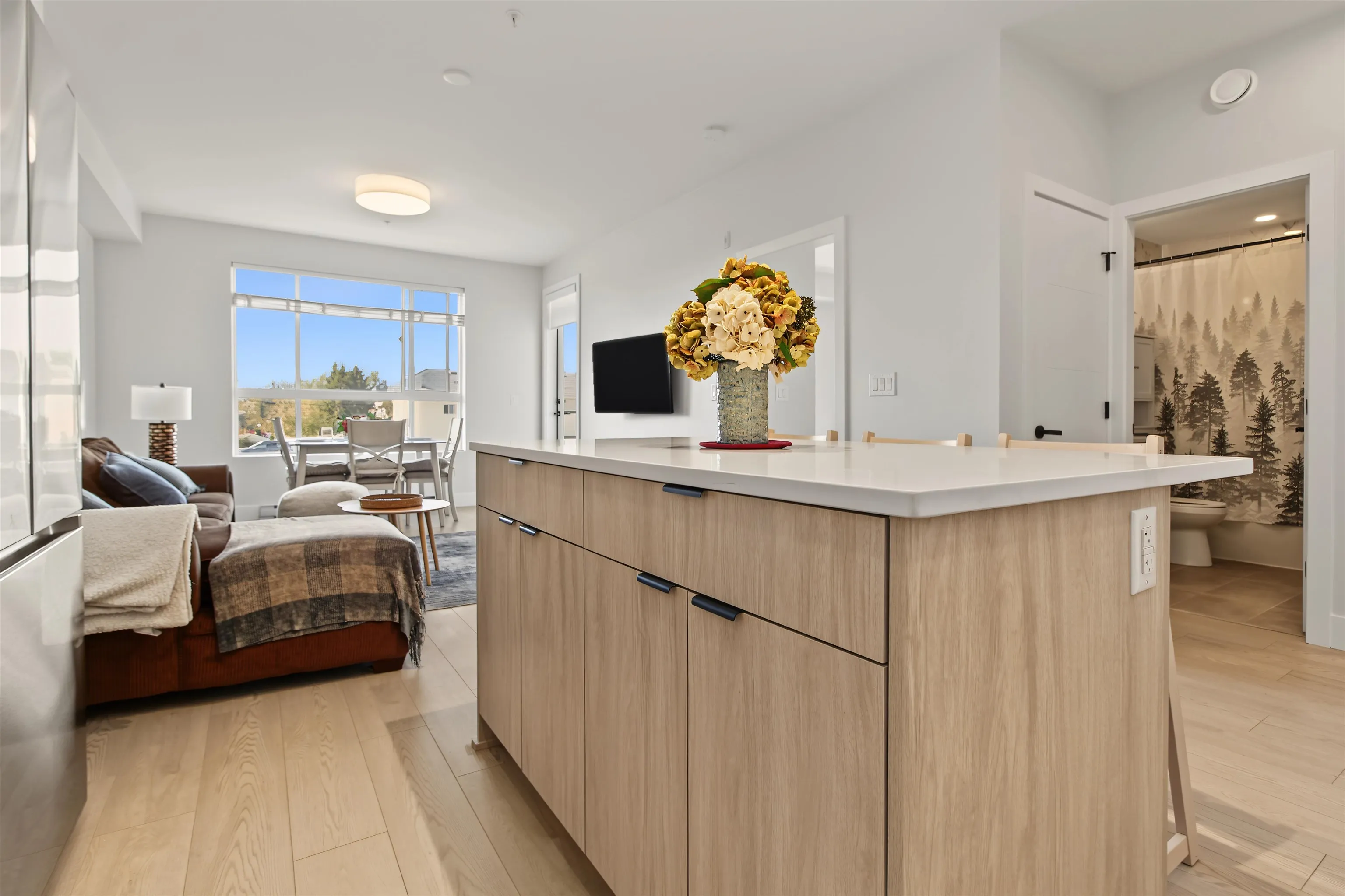 11655 Fraser Street #411