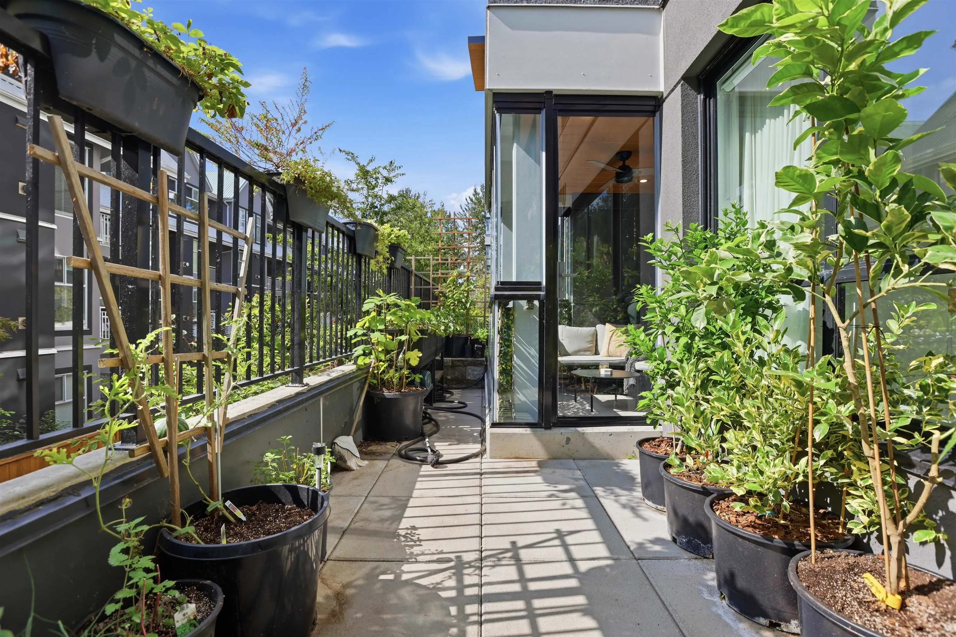 11639 227 Street #108