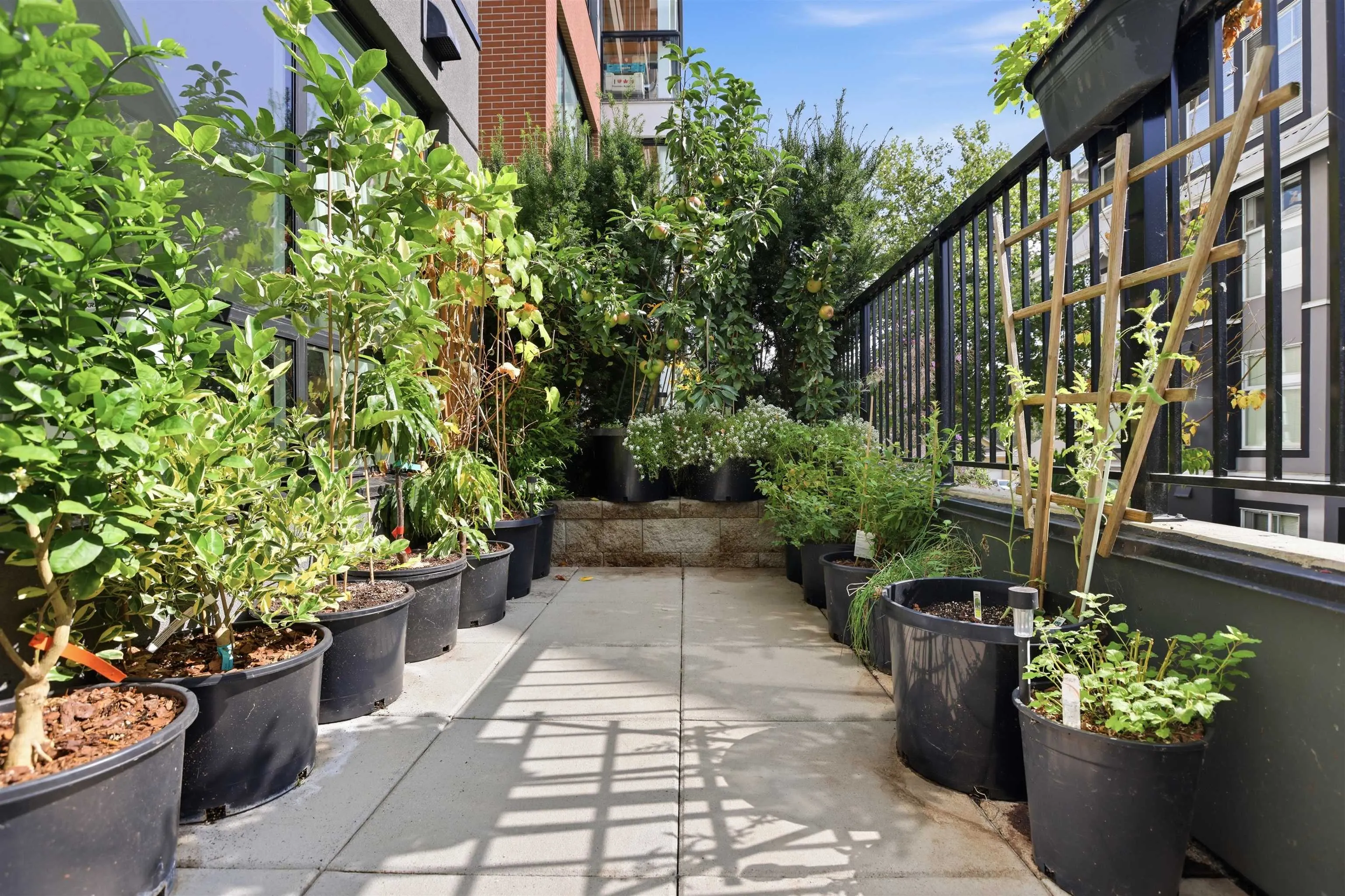 11639 227 Street #108