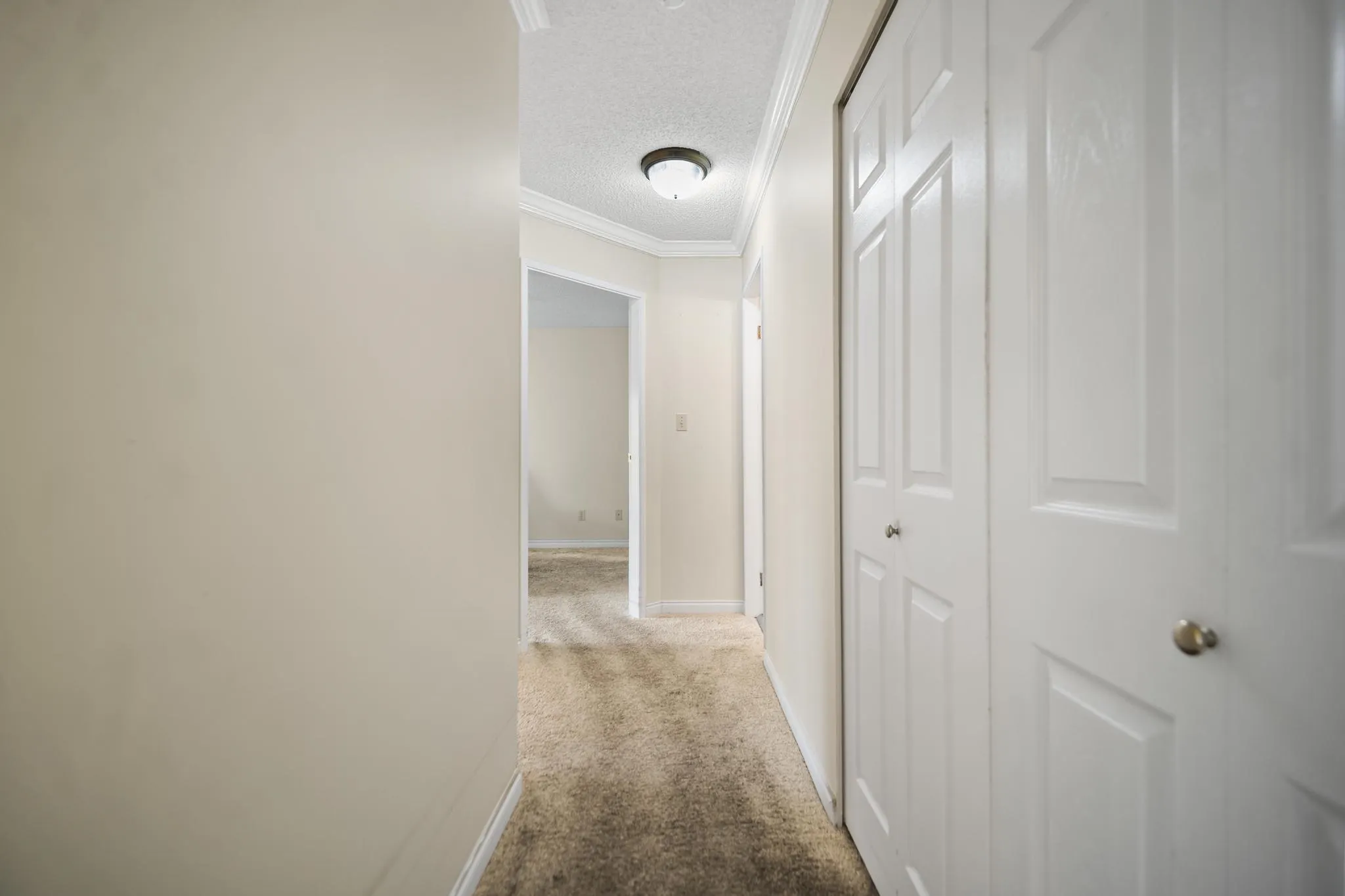 1280 Fir Street #310