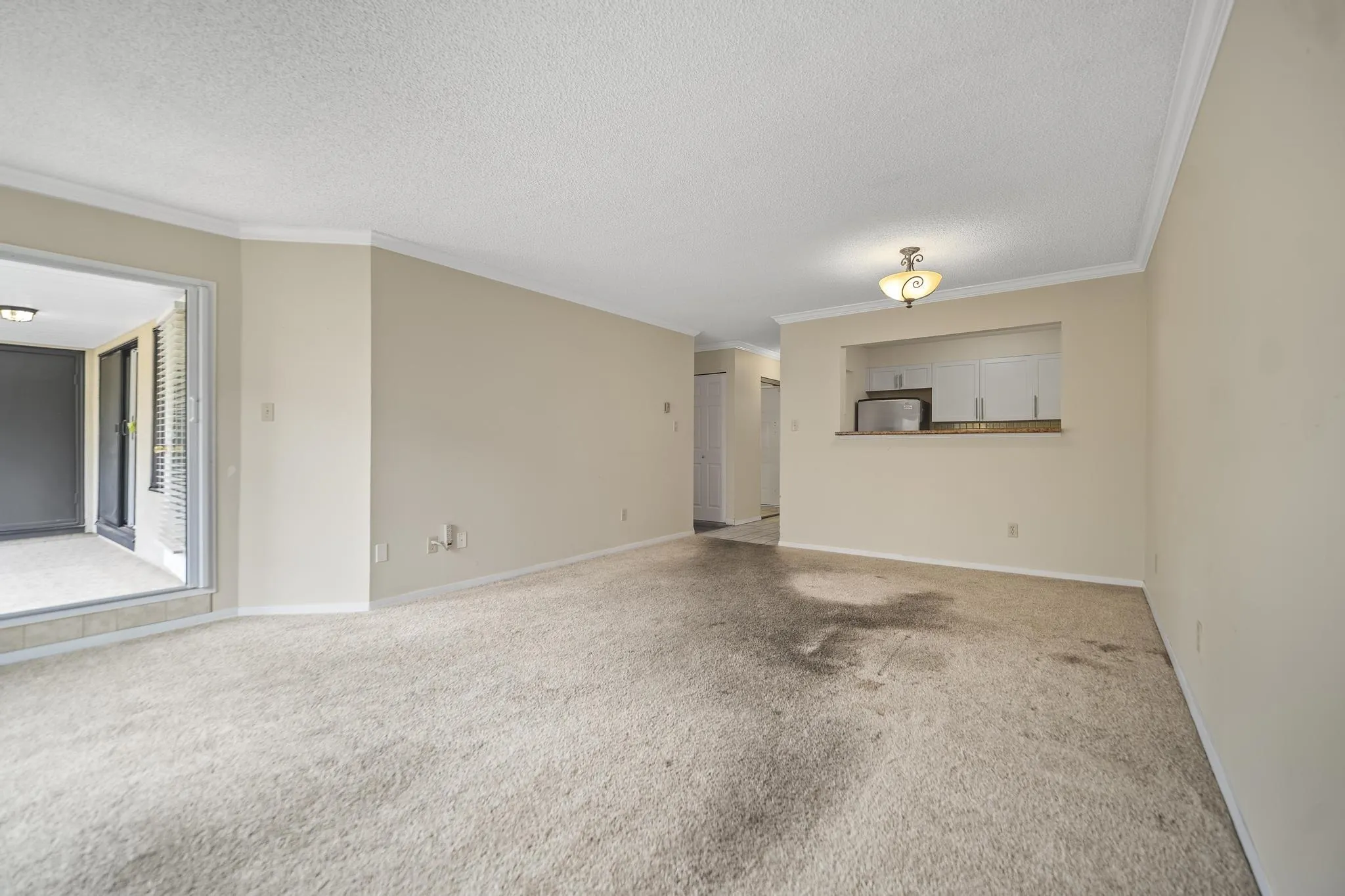 1280 Fir Street #310