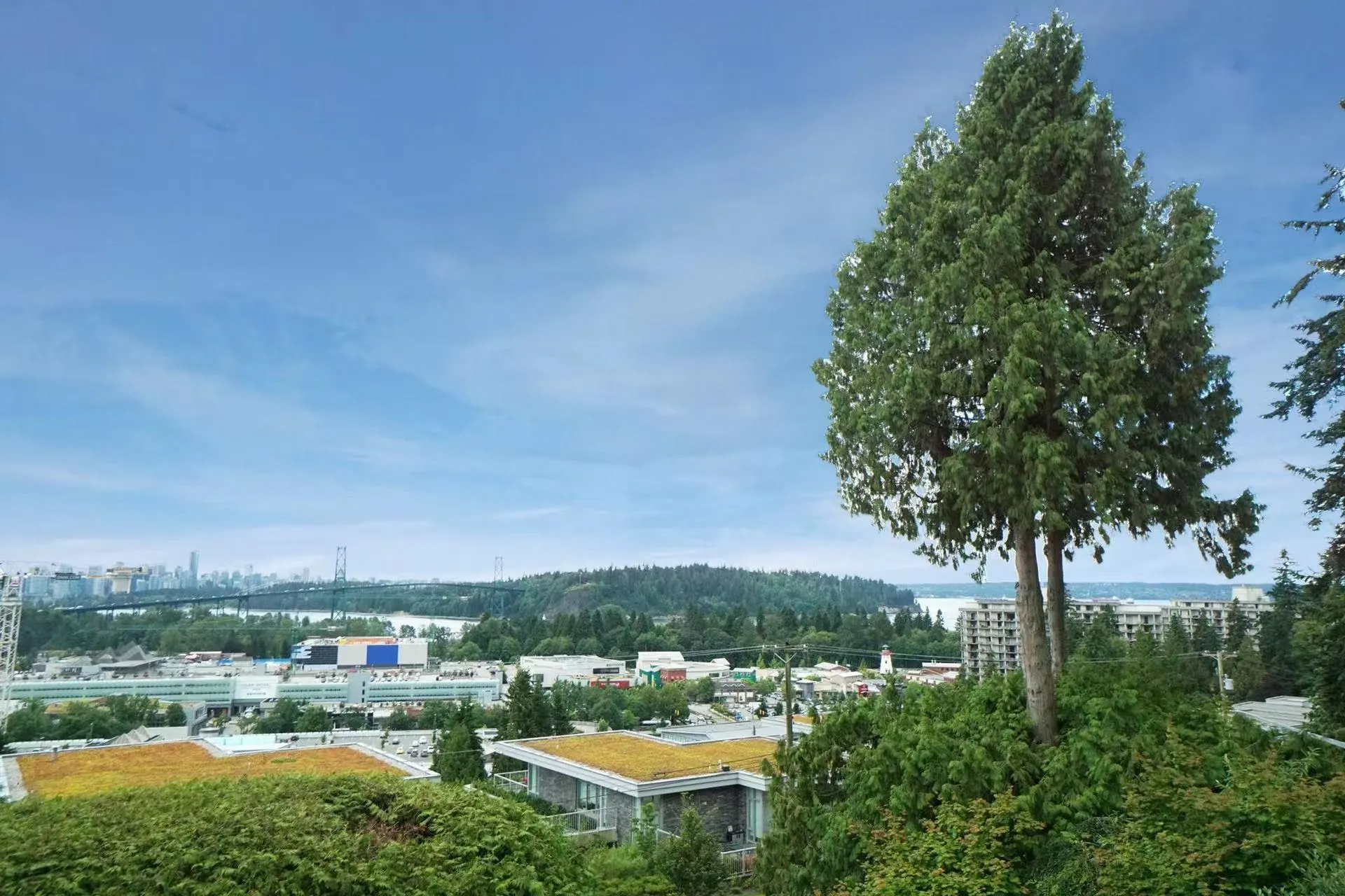 850 Esquimalt Avenue