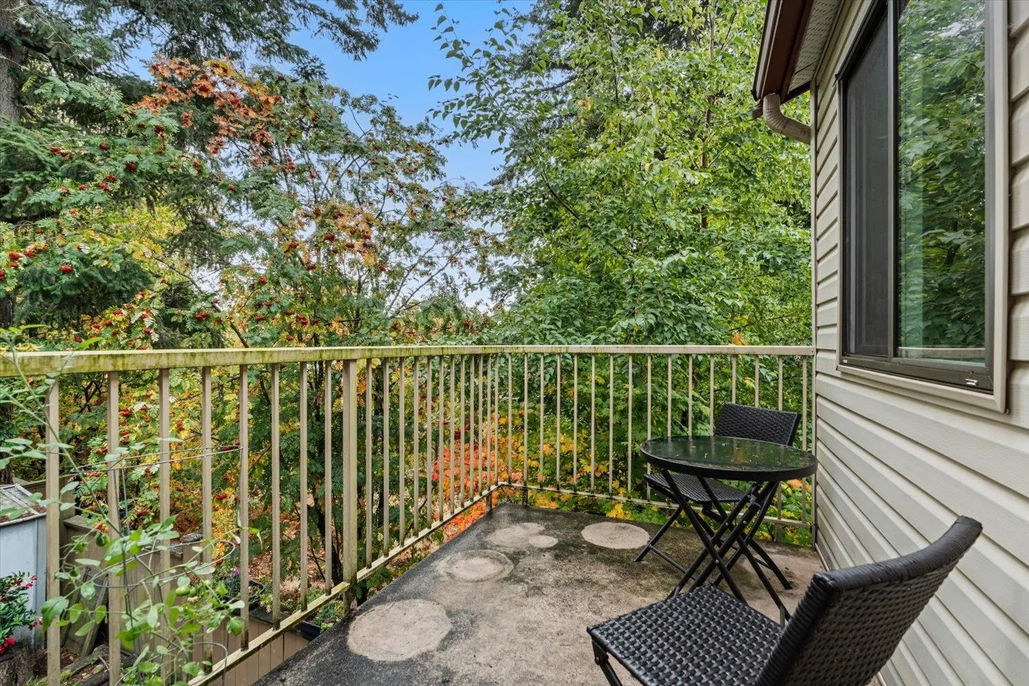 32310 Mouat Drive #50
