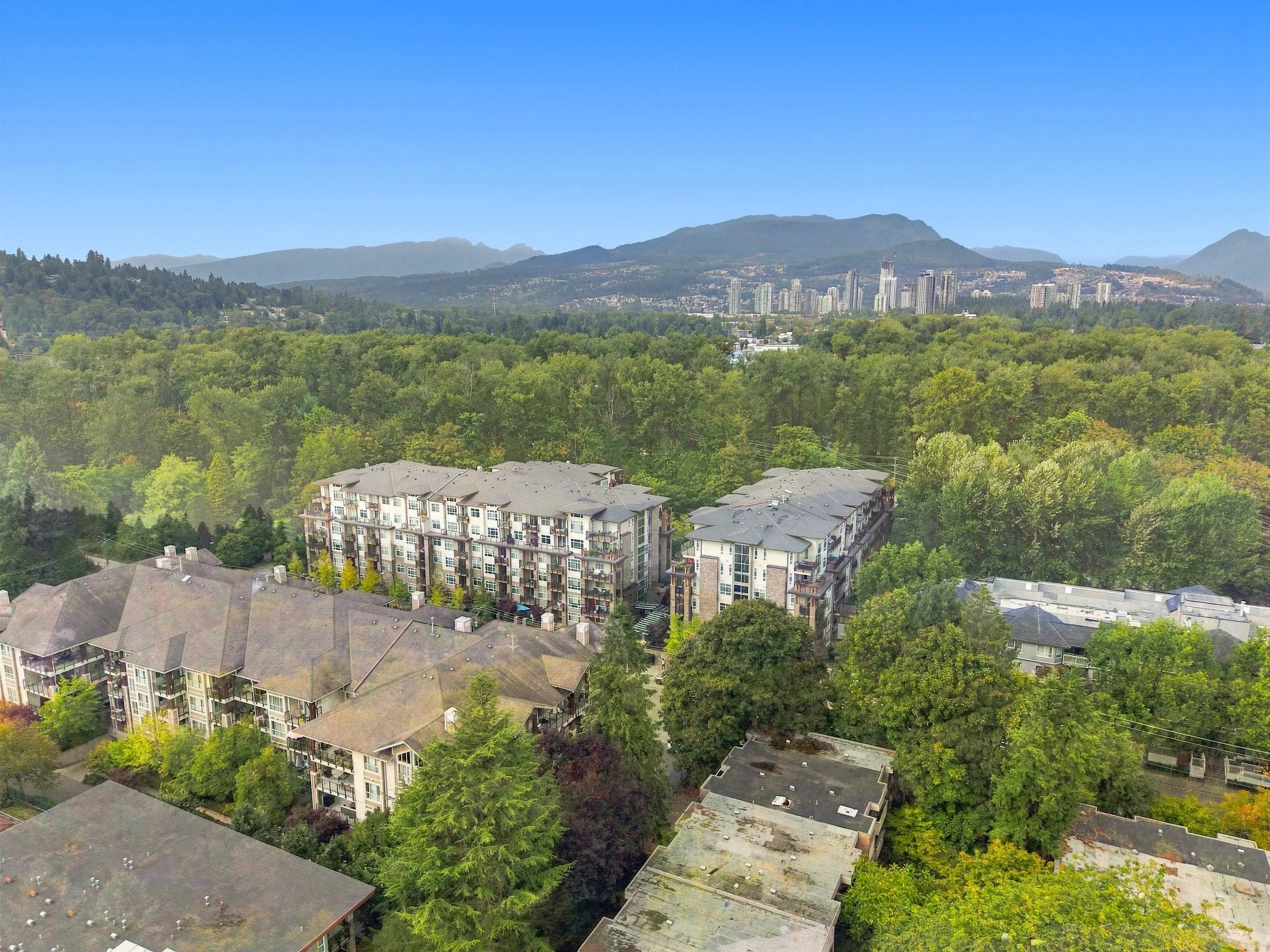2465 Wilson Avenue #301