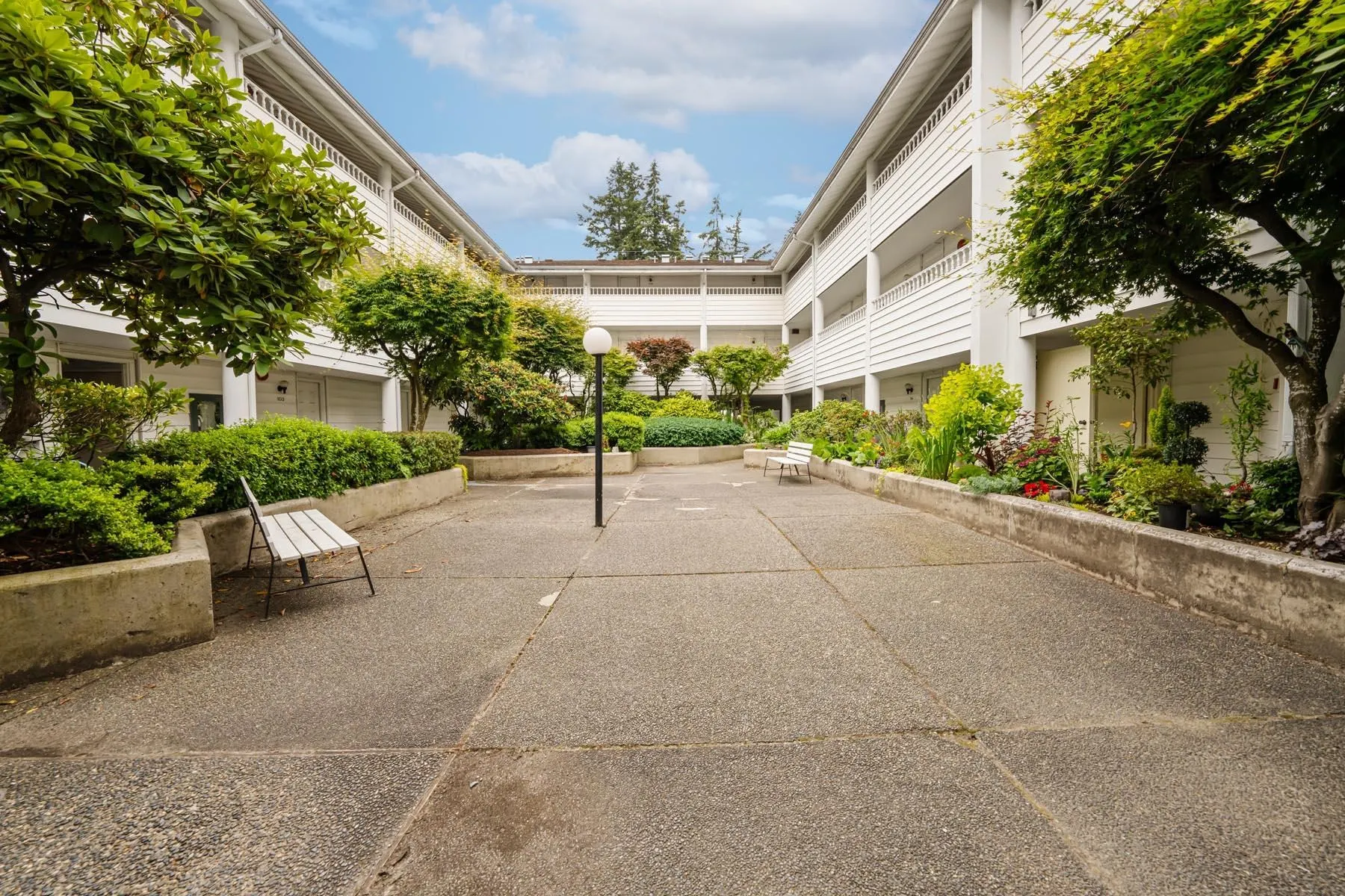 707 Eighth Street #313