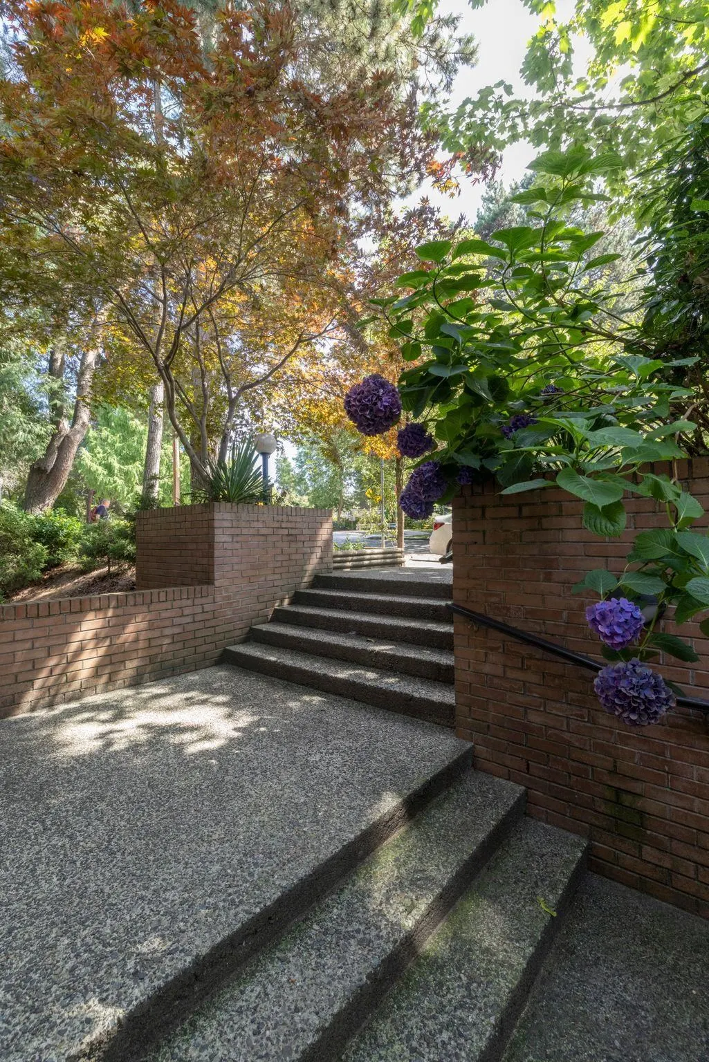 391 E 7th Avenue #302