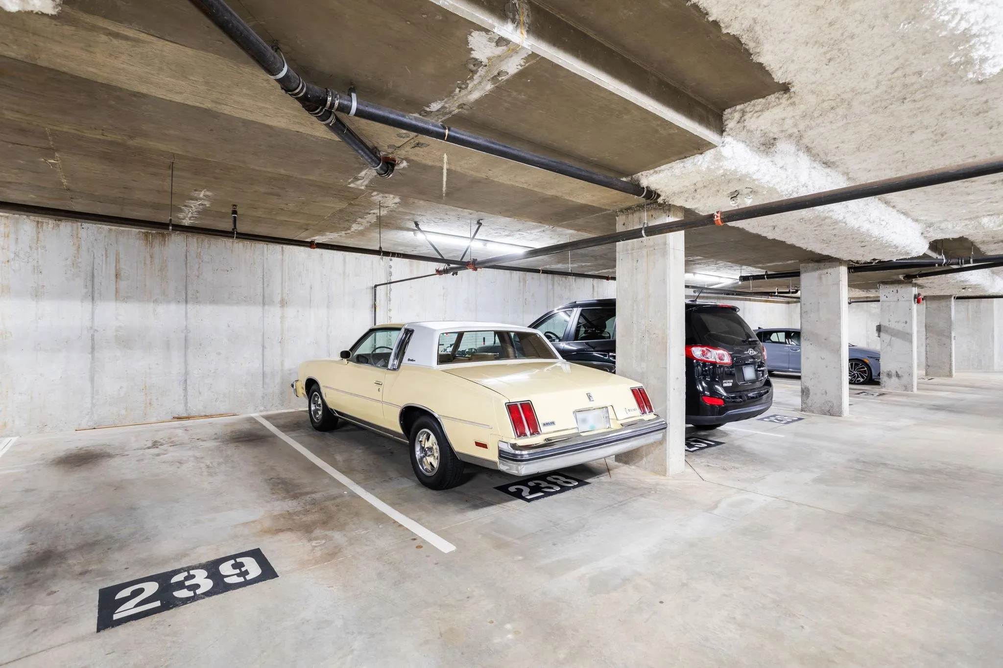 12258 224 Street #419