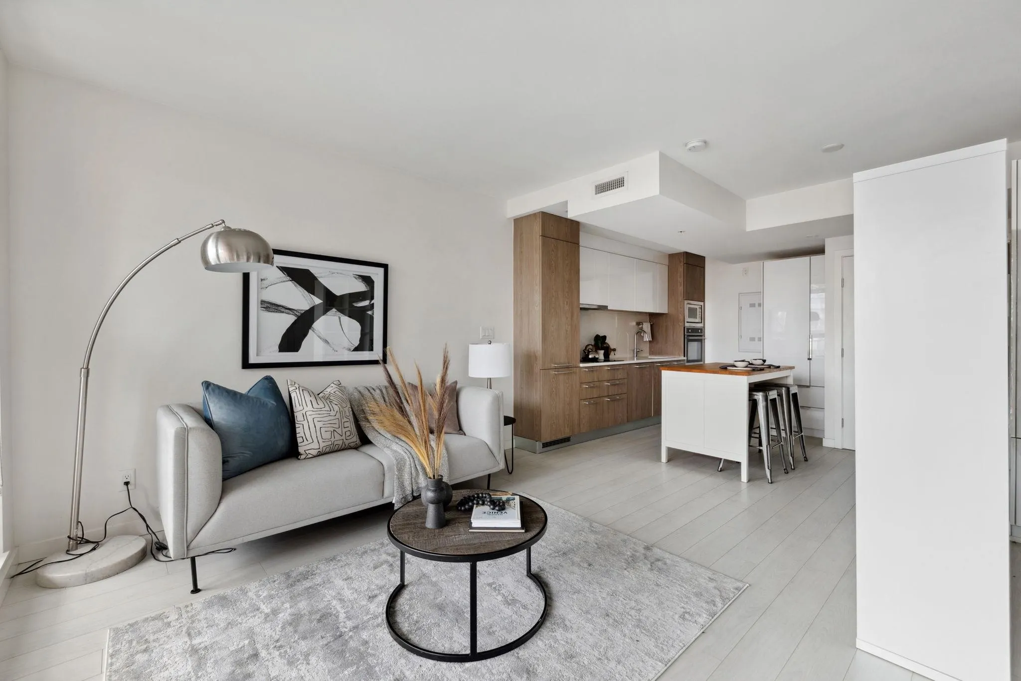 285 E 10th Avenue #508