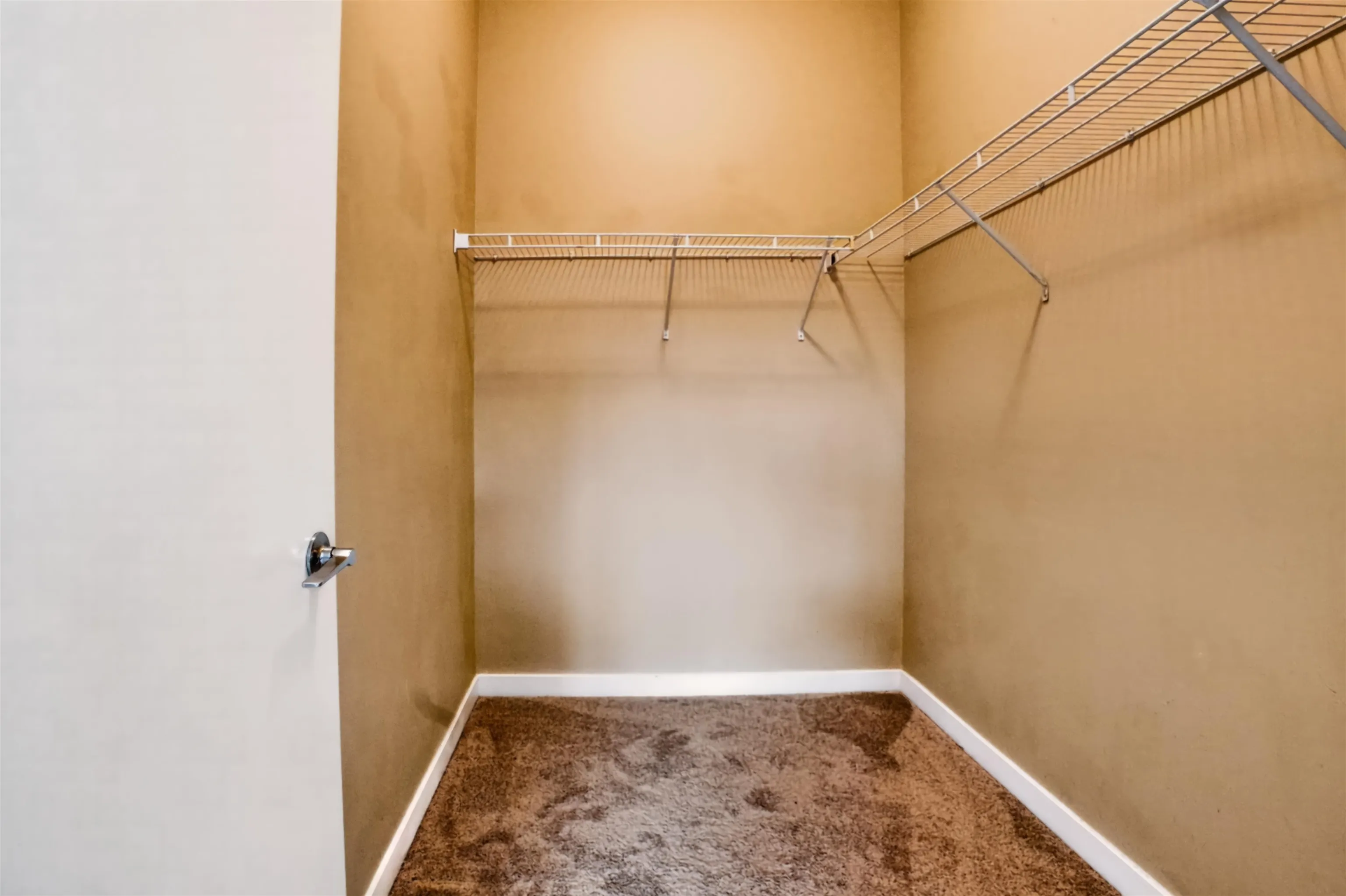 13733 107a Avenue #523