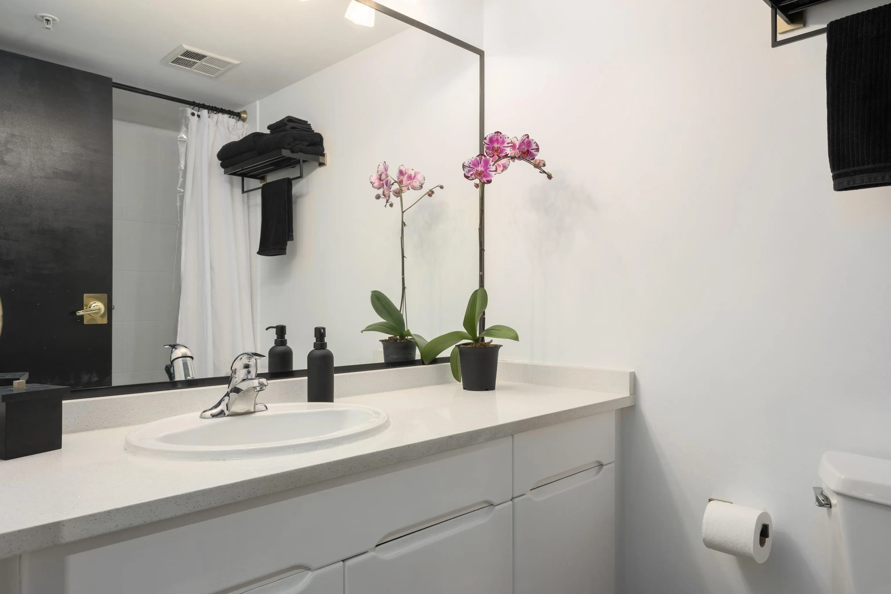 1238 Melville Street #807
