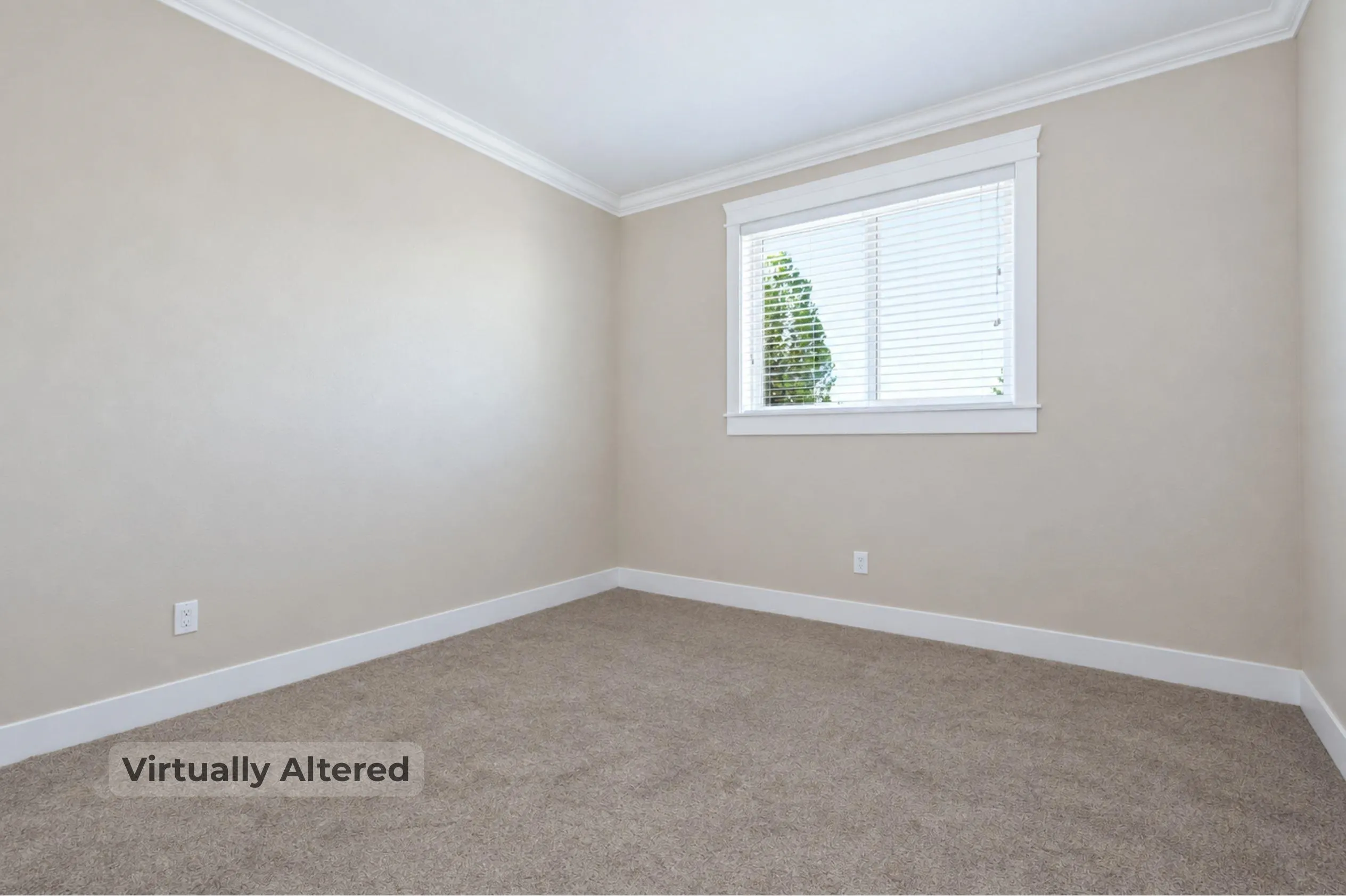 1426 Finlay Street #3