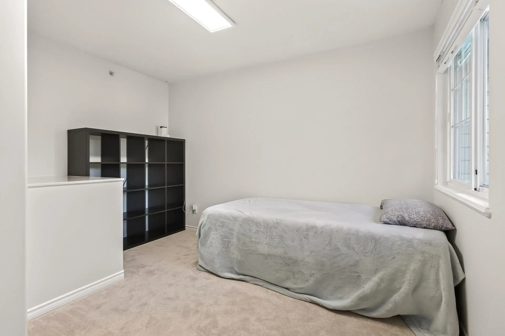 1290 Amazon Drive #45