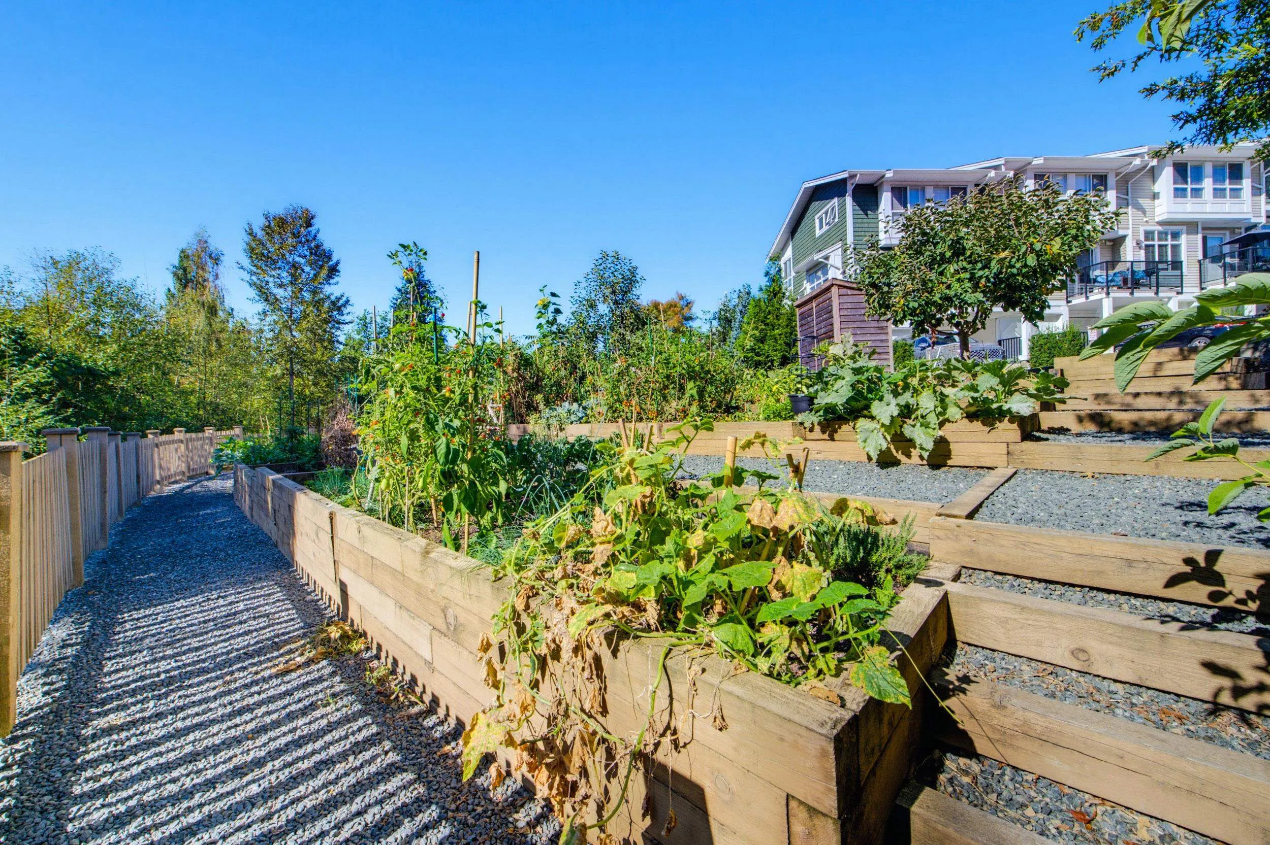 24108 104 Avenue #72