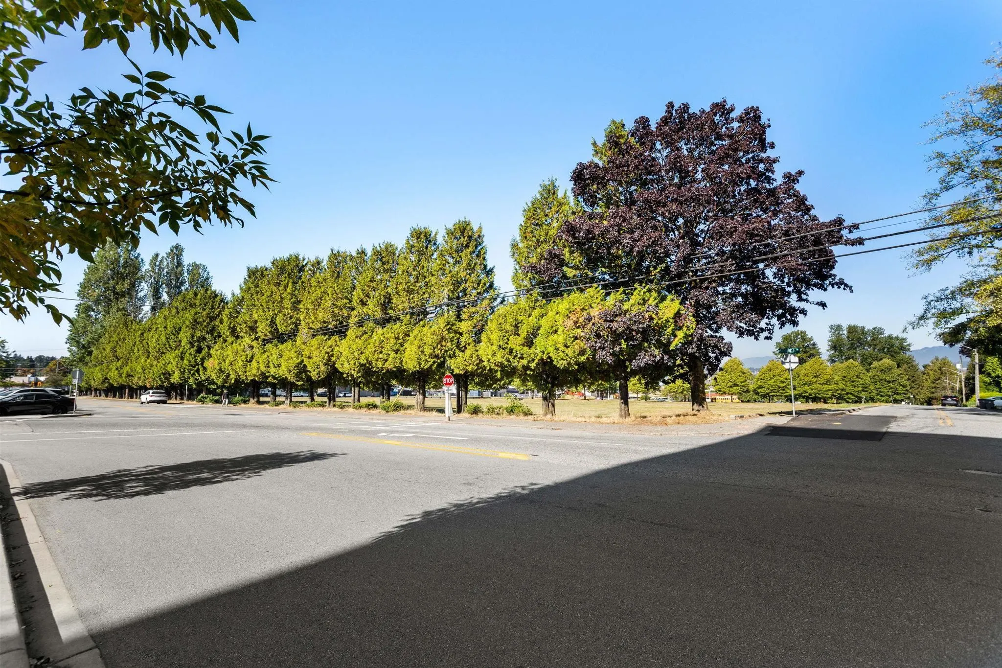 10838 Whalley Boulevard #518