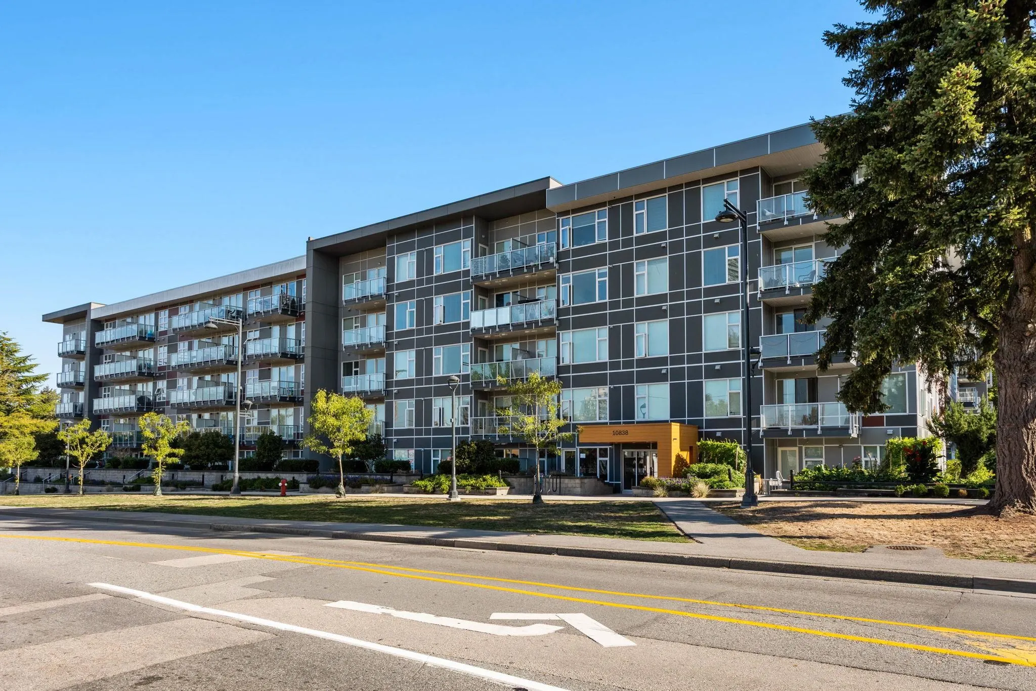 10838 Whalley Boulevard #518