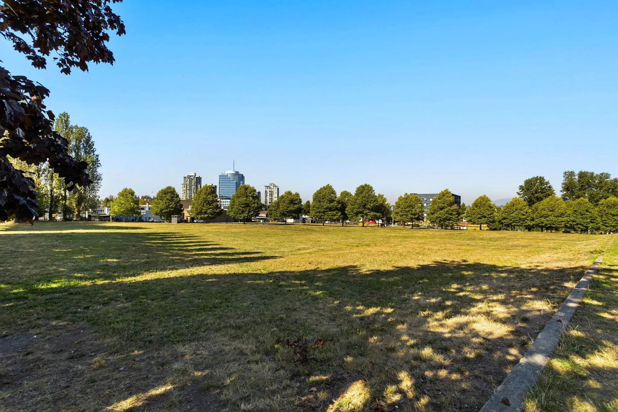 10838 Whalley Boulevard #518