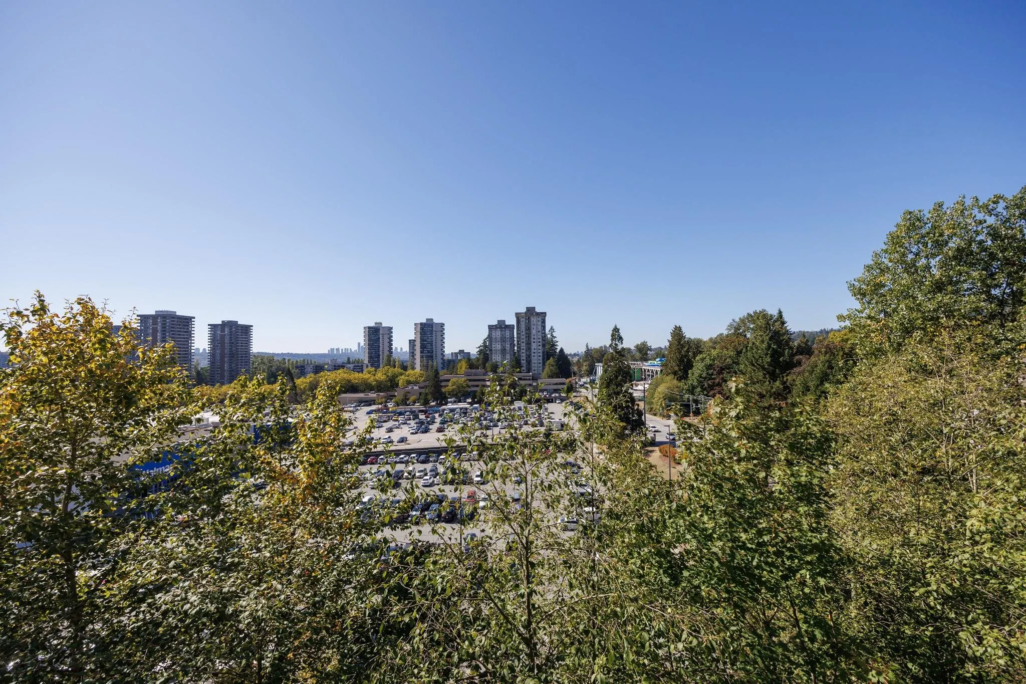 9868 Cameron Street #305