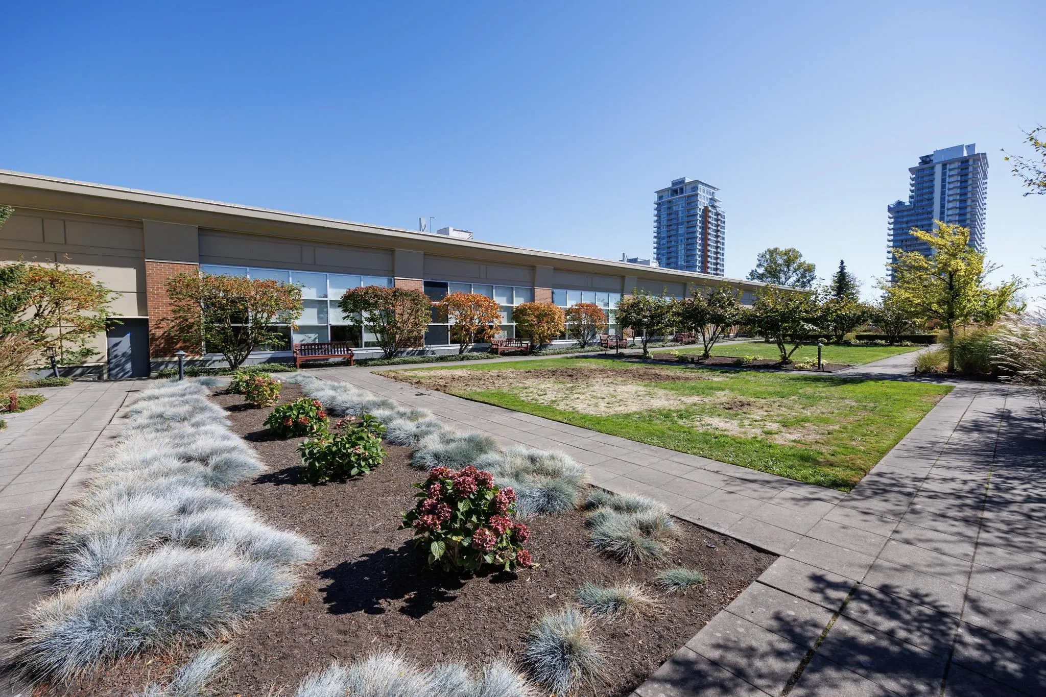 9868 Cameron Street #305