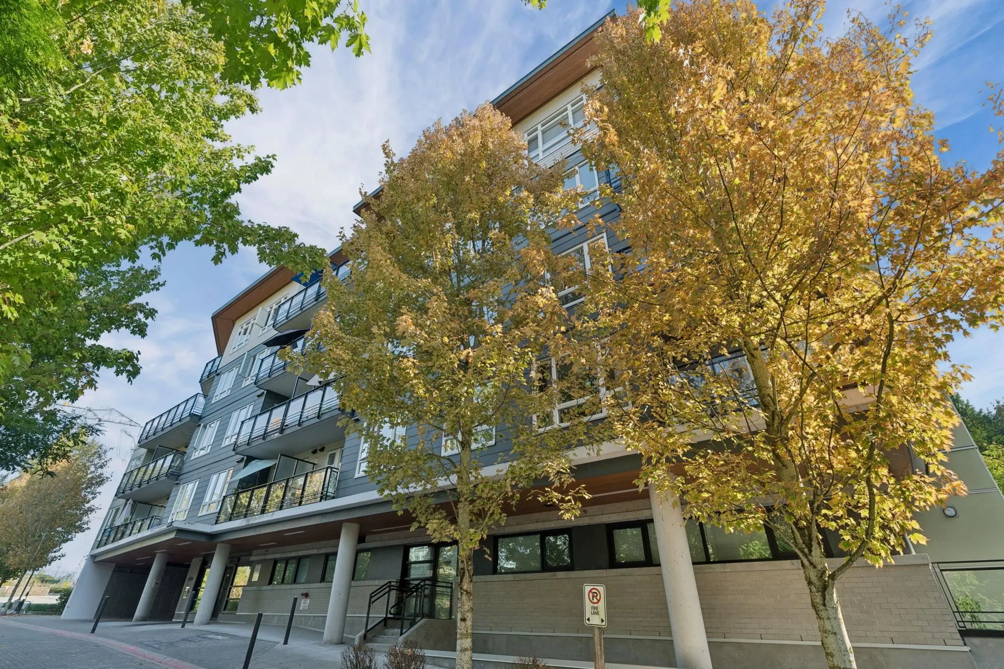 13919 Fraser Highway #307