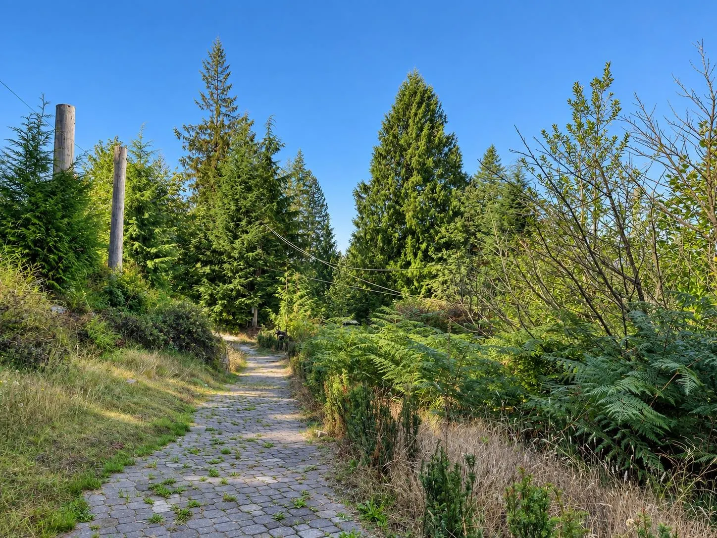 31081 Silverhill Road