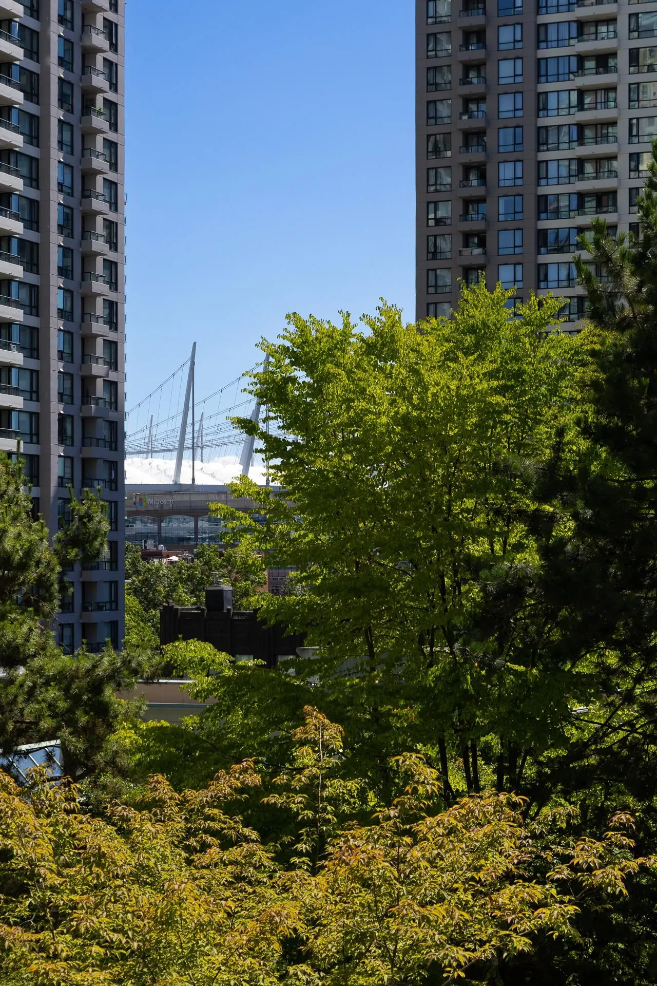 988 Richards Street #401