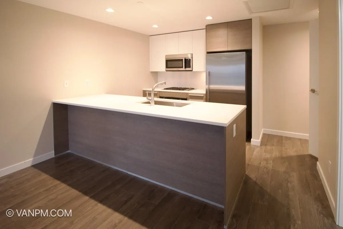 4485 Skyline Drive #2409