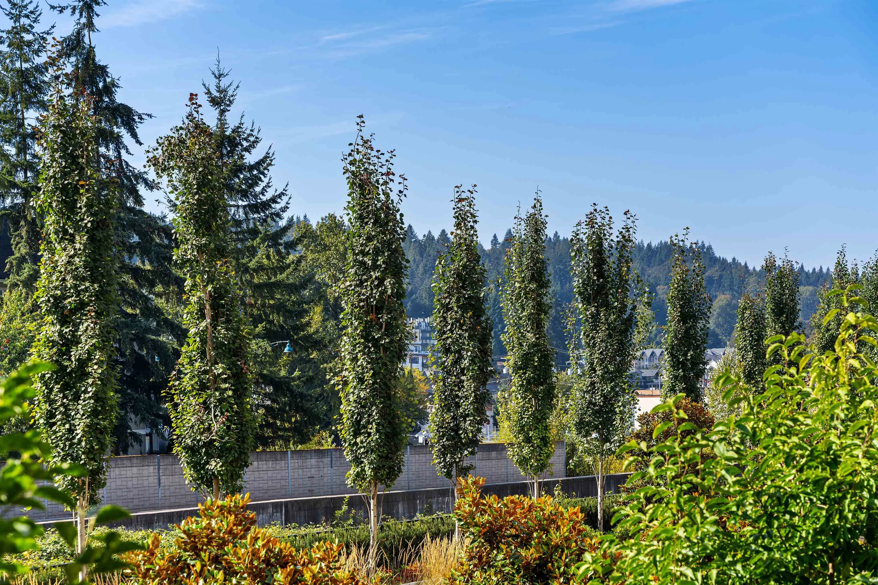 55 Klahanie Drive #336
