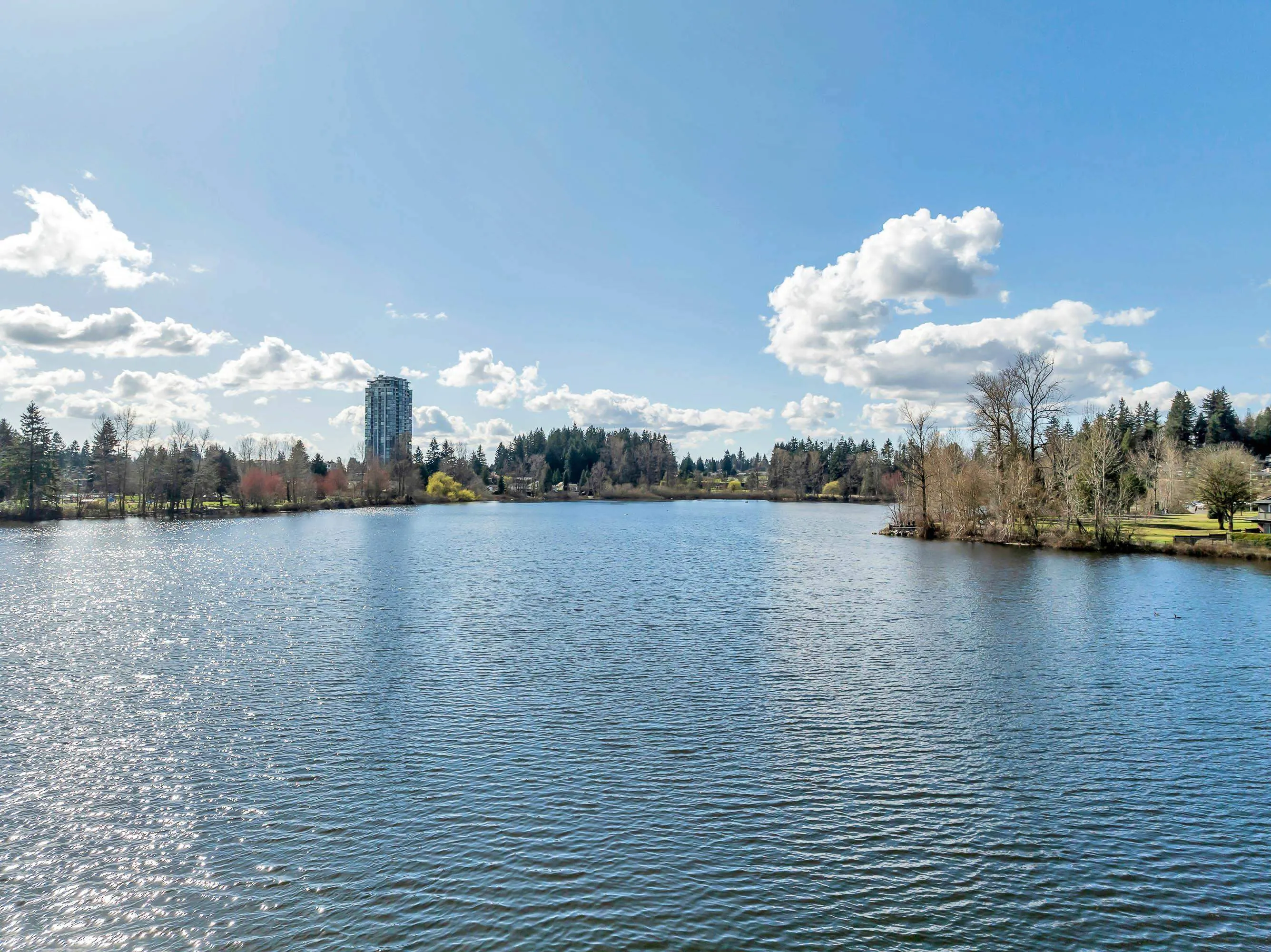 33160 Plaxton Crescent #6