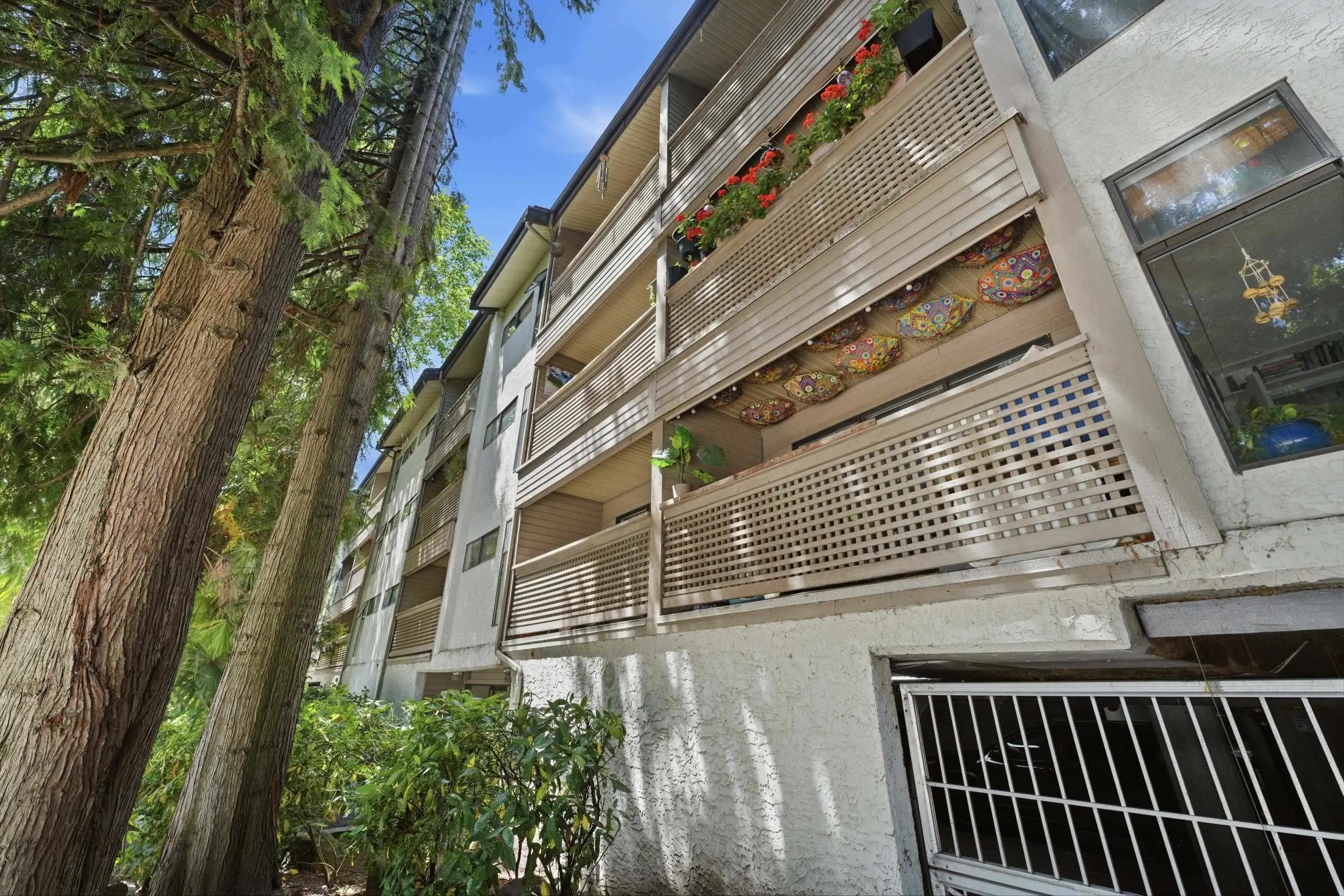 423 Agnes Street #106