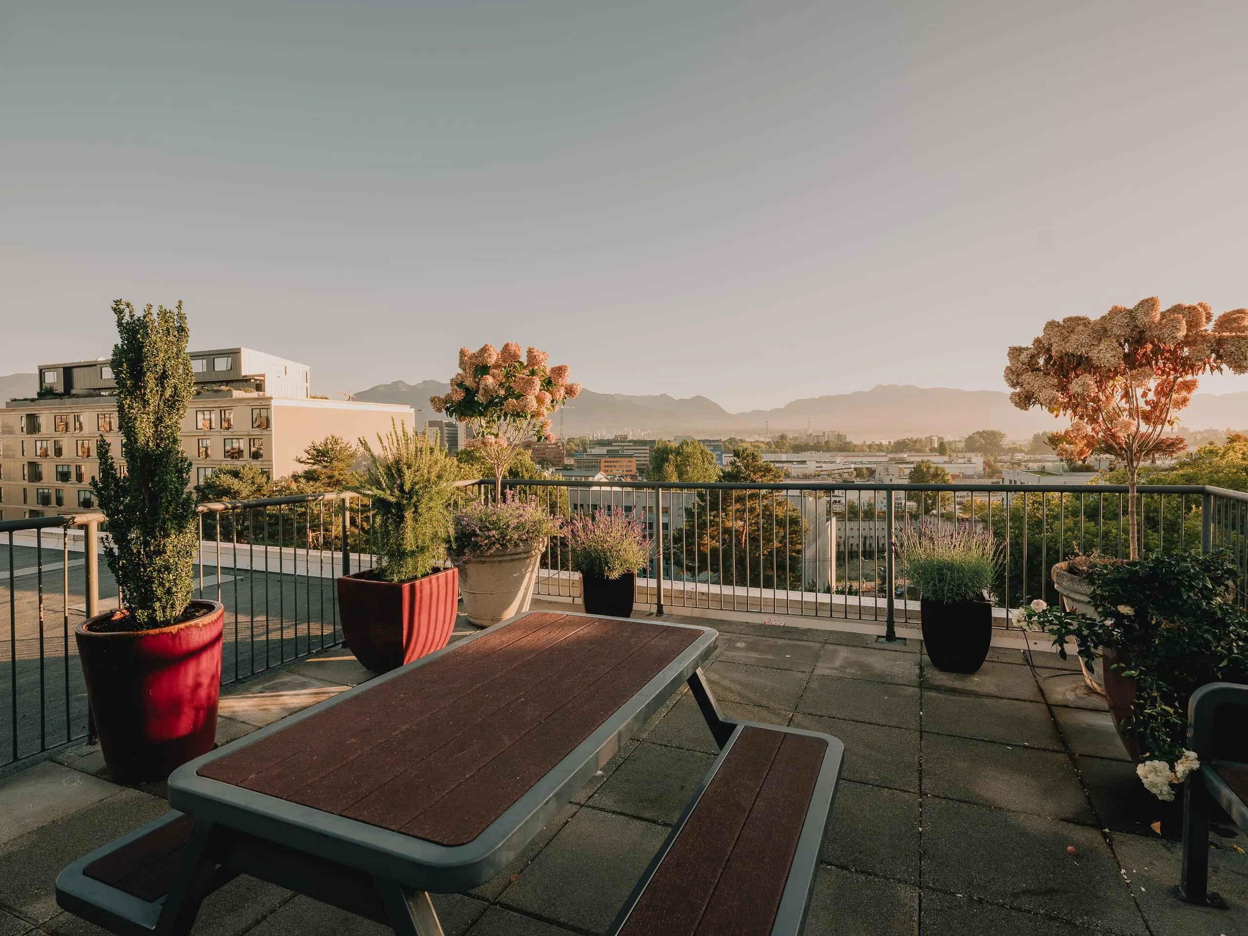 350 E 2nd Avenue #422