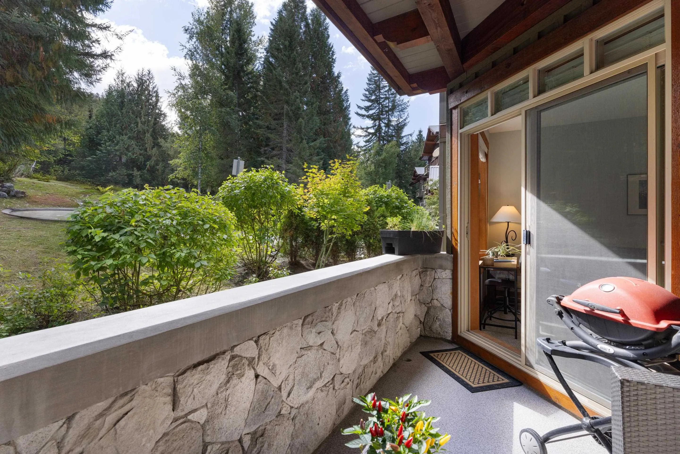 4660 Blackcomb Way #222