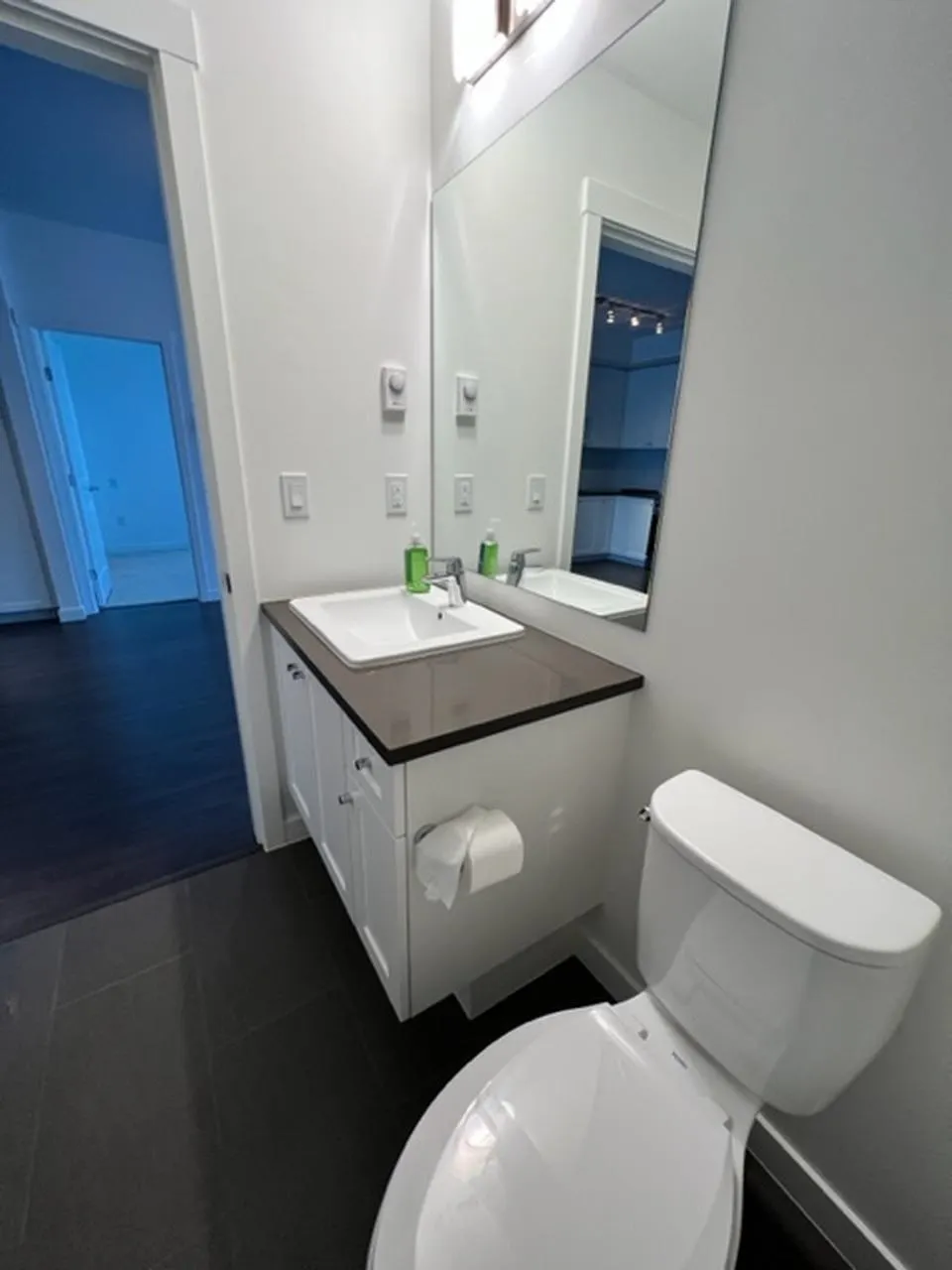15815 85 Avenue #202
