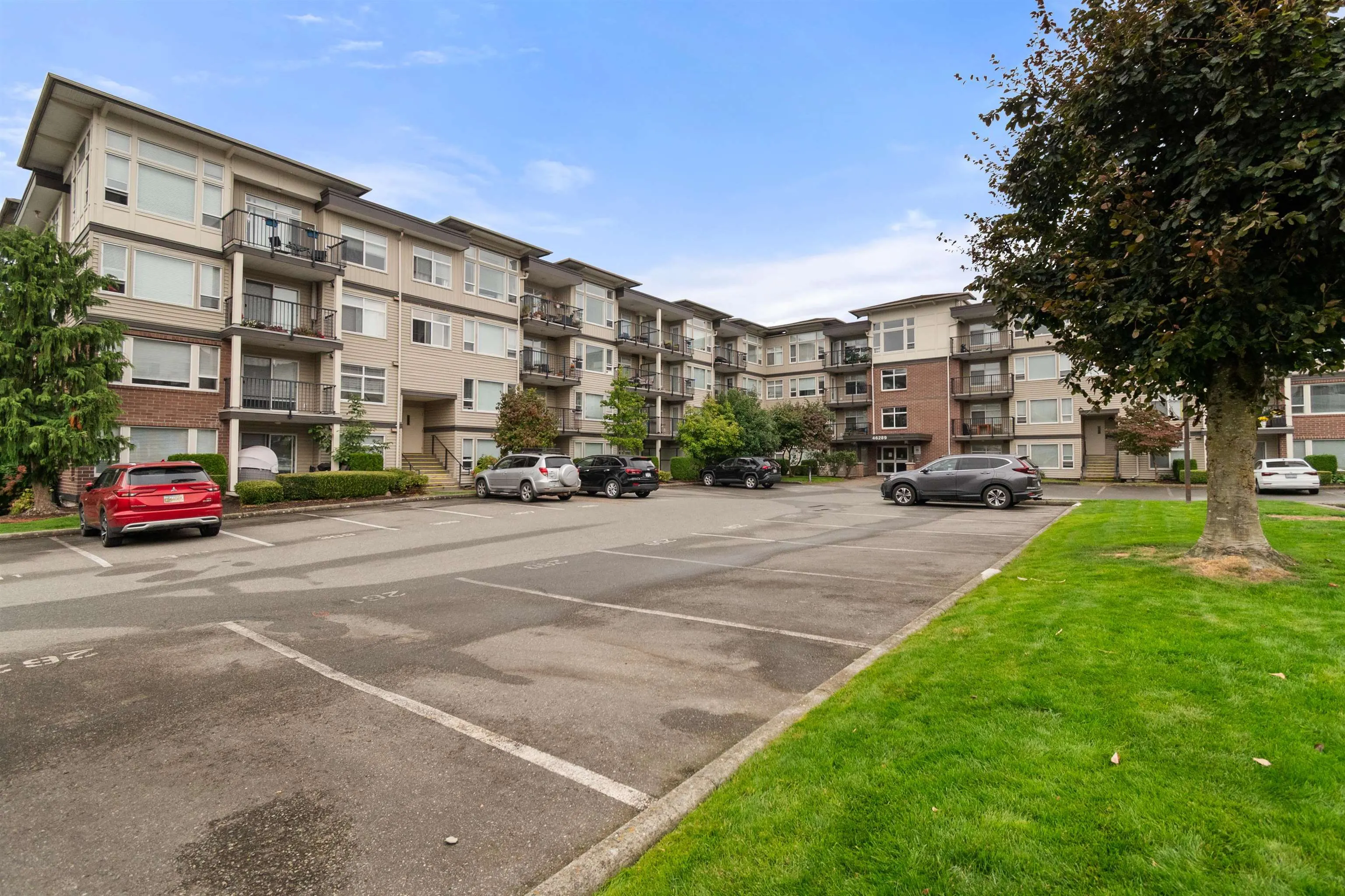 46289 Yale Road #206