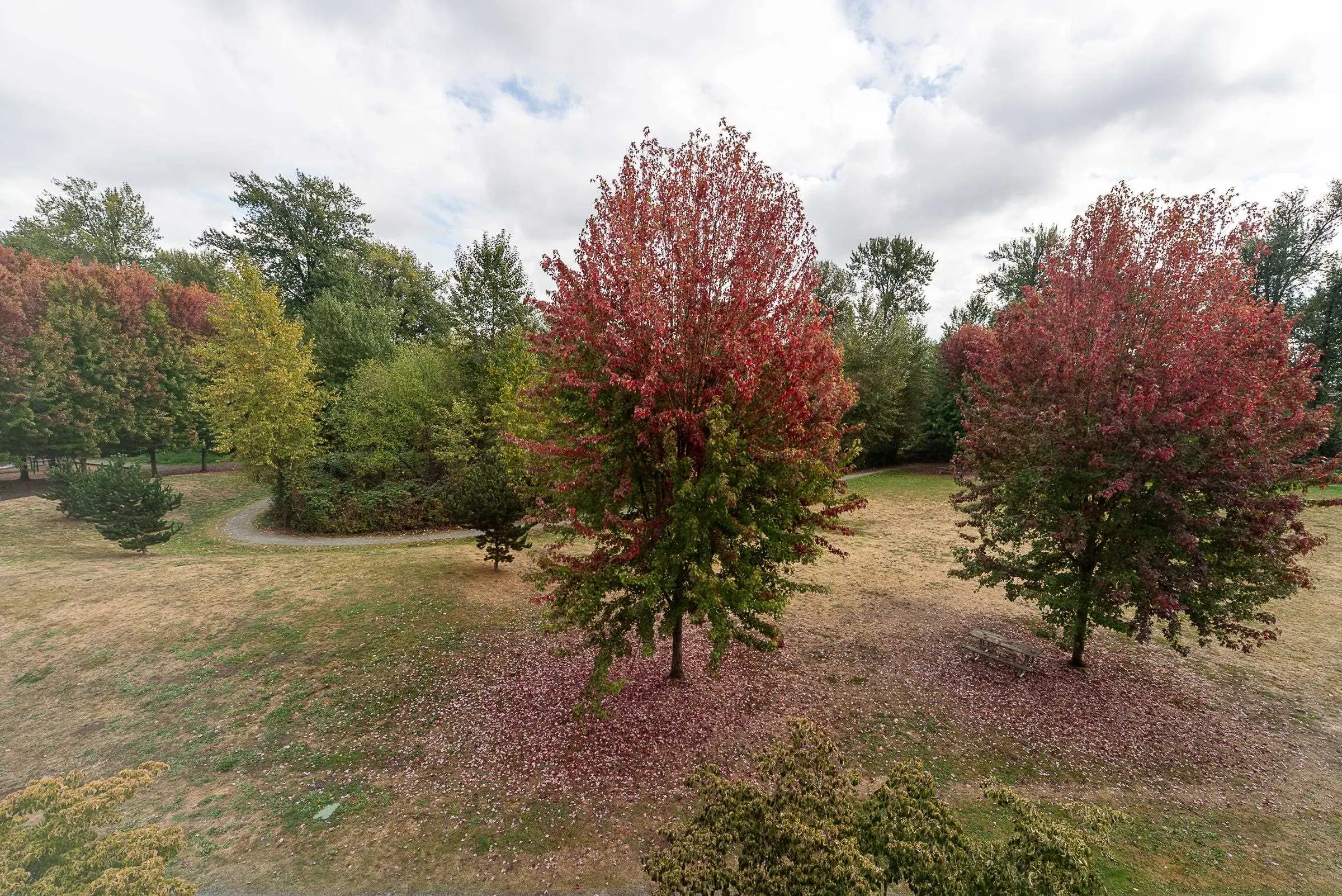 2332 Ranger Lane #24