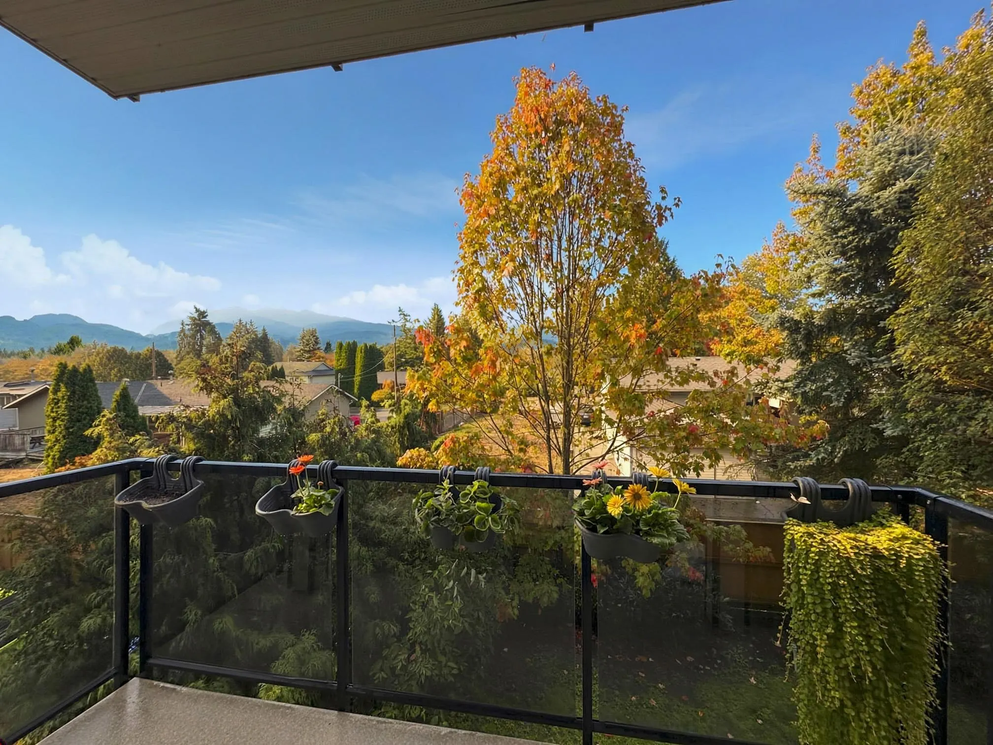12310 222 Street #207