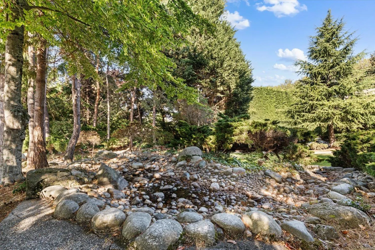 12890 17 Avenue #301
