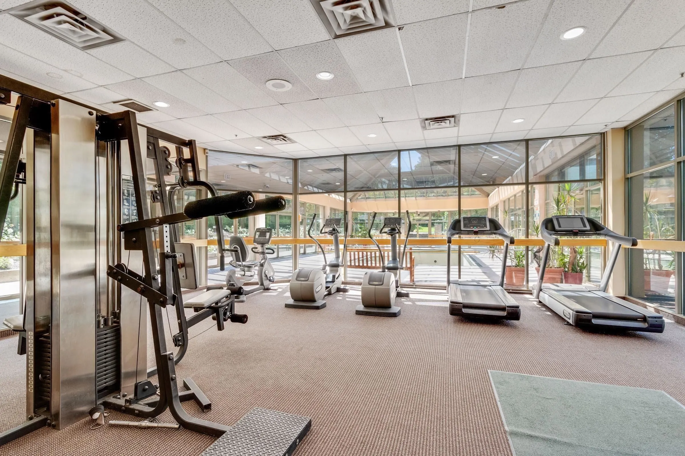 5885 Olive Avenue #905
